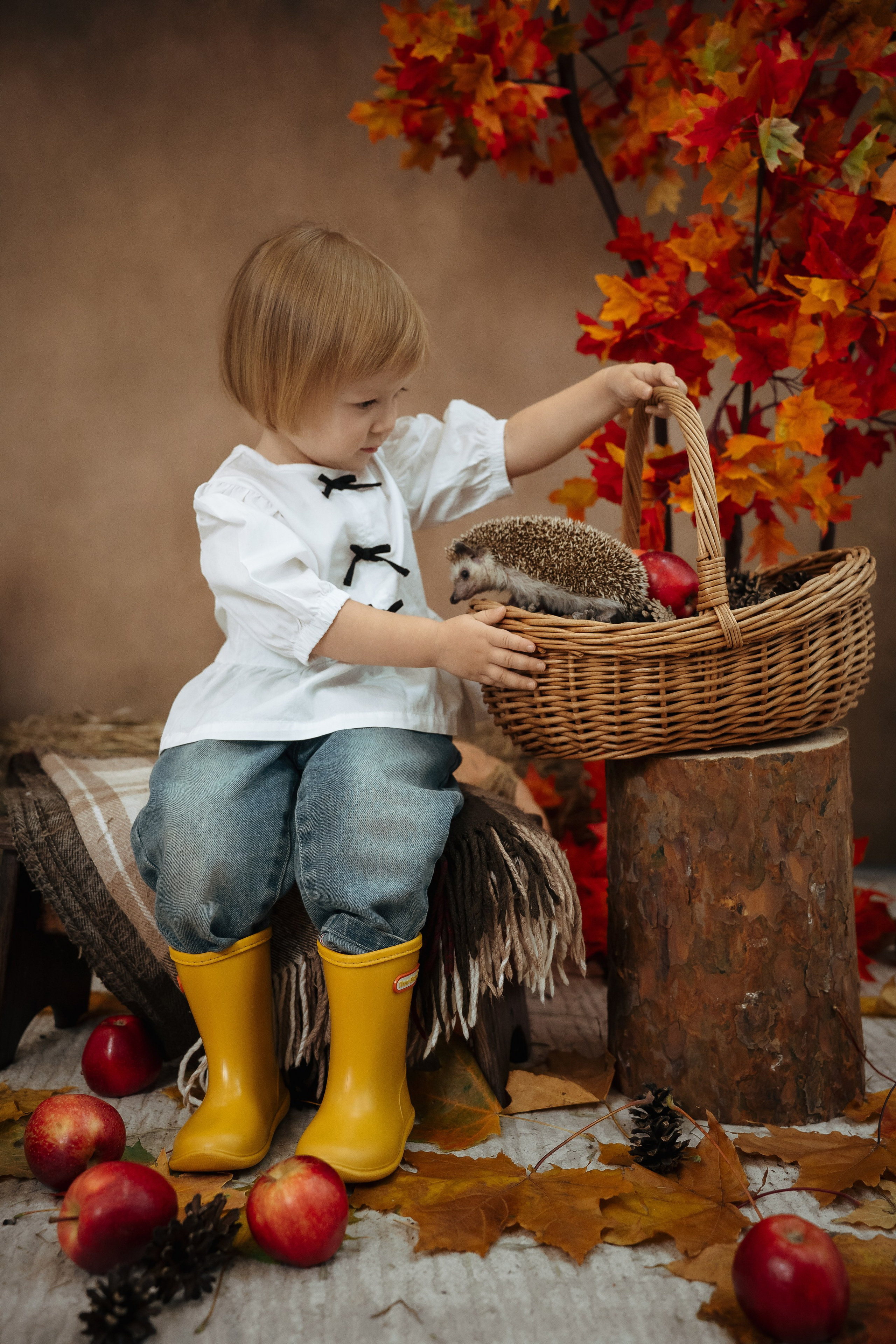 Ёжик. Фотограф Казакова Анастасия