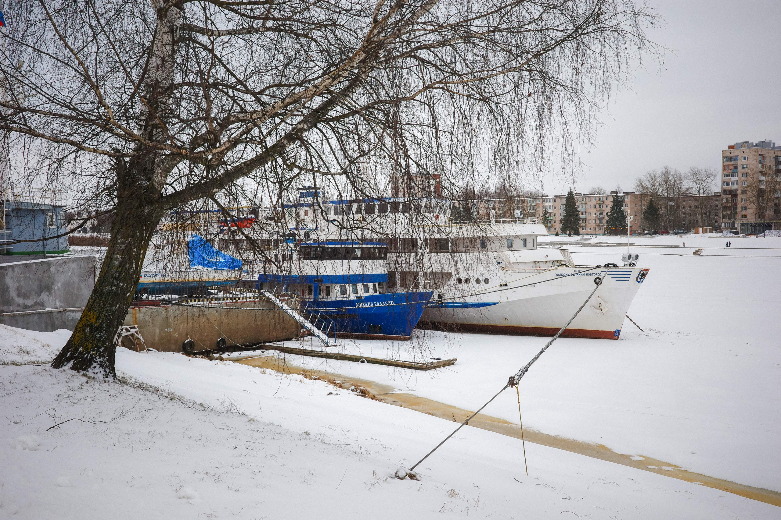 2025.01. Фотограф Алексей Алексеев