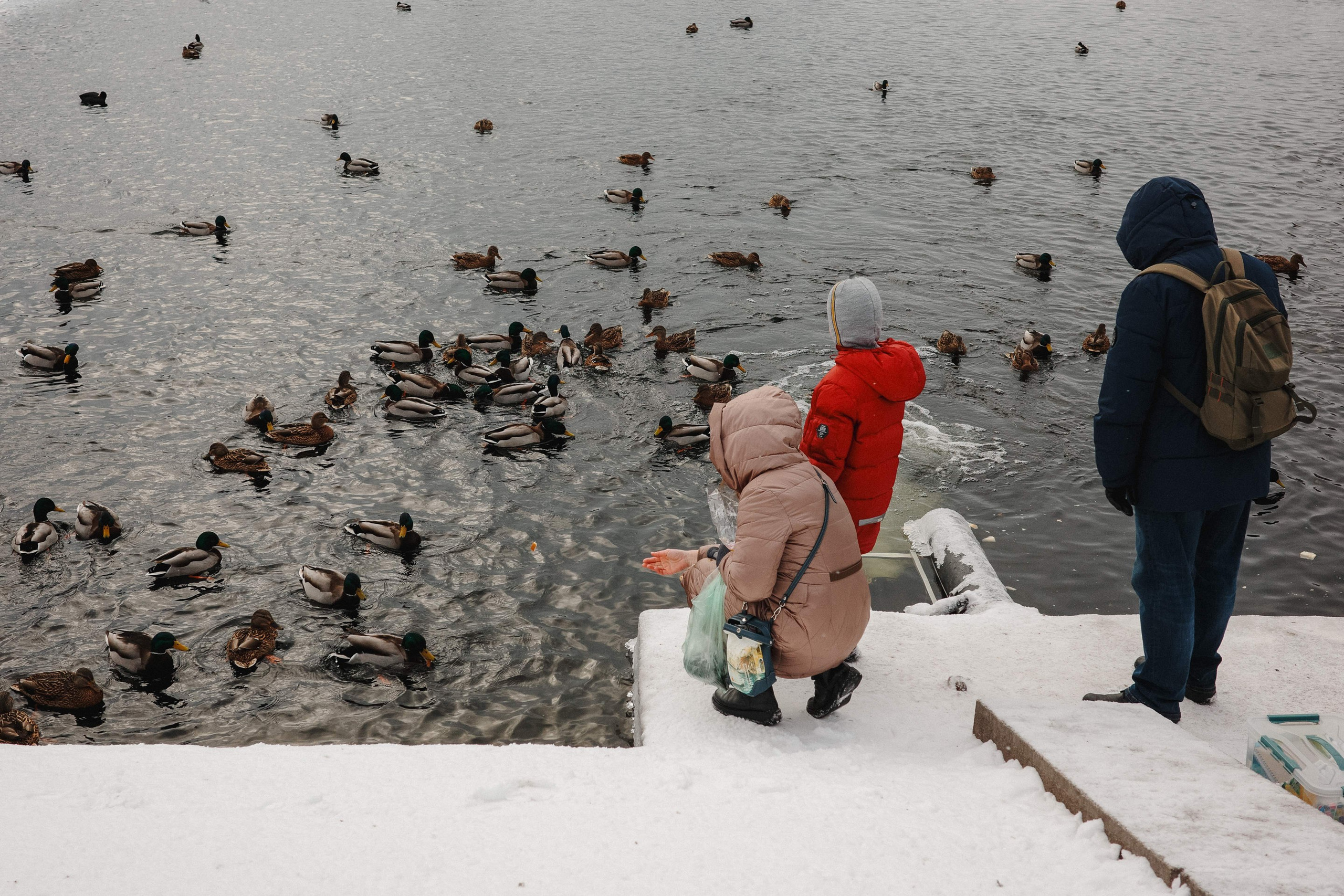 2025.02. Фотограф Алексей Алексеев