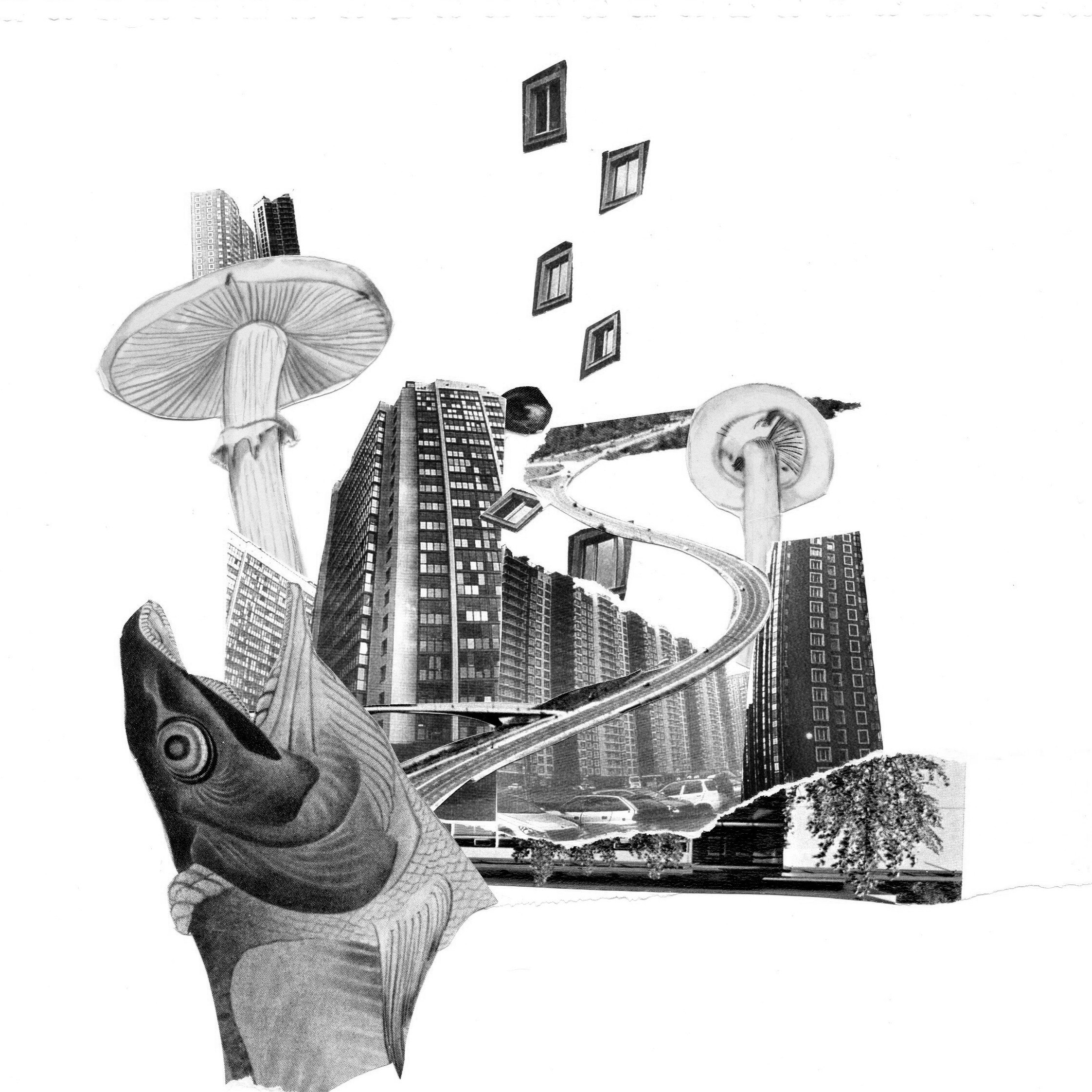 Коллажный дневник. Фотограф Анна Кирнос