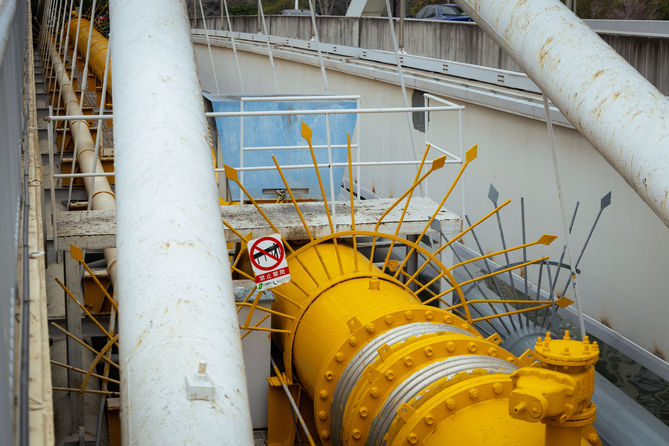 Шанхай (март 2026). Фотограф Виноградов Константин