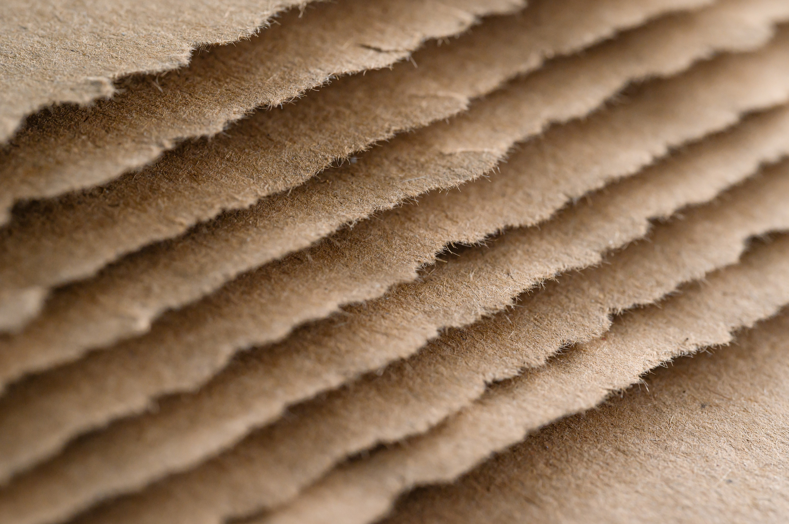 Проекты. Профессиональный фотограф Вячеслав Плацында | Липецк |