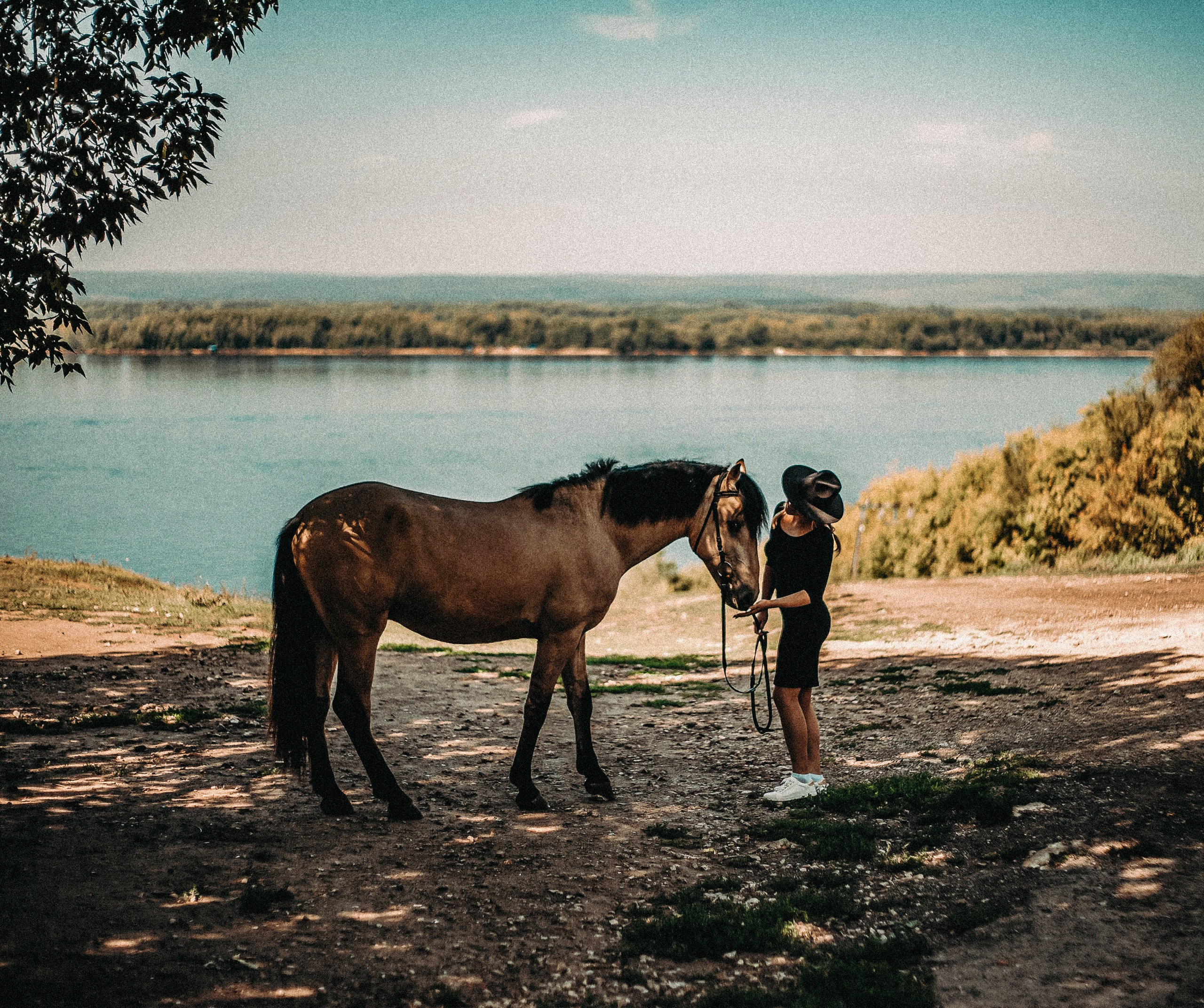 Ranch. Фотограф в городе Самара Александр Гераськин