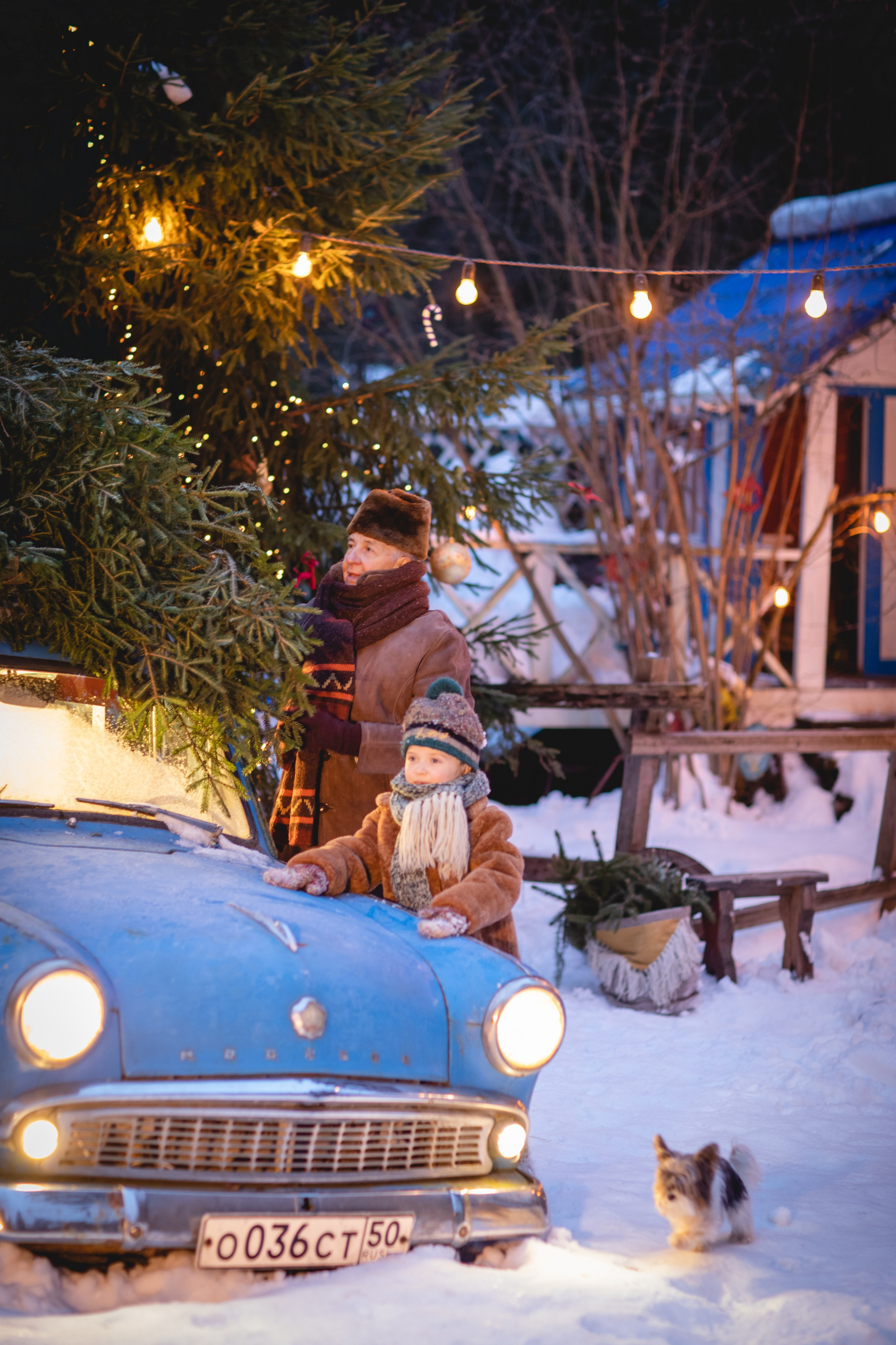 Домик в лесу. Семейный фотограф в Москве Анастасия Гурьянова