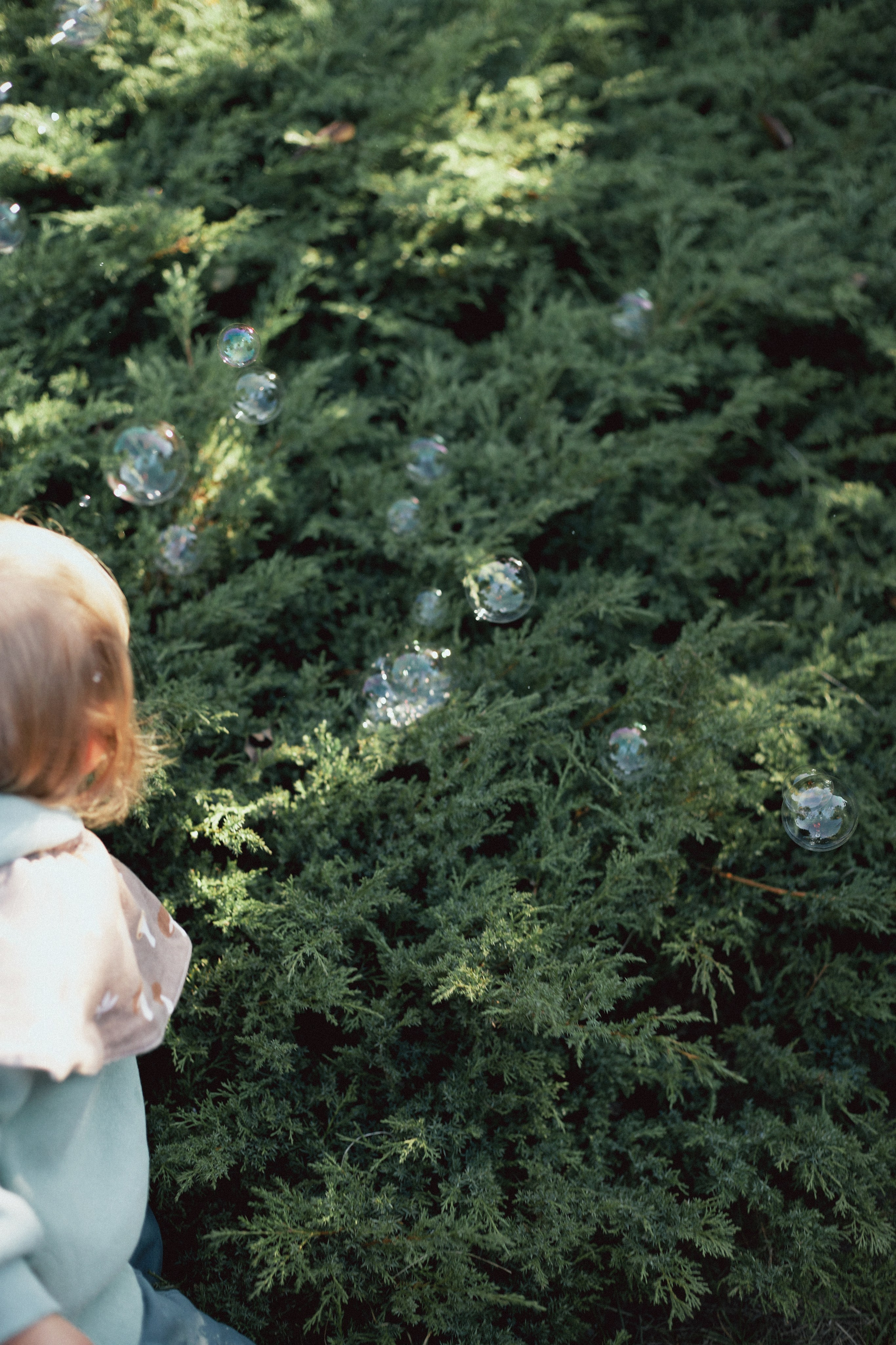 Настя & Агния. Фотограф Ионова Анастасия, г Владивосток