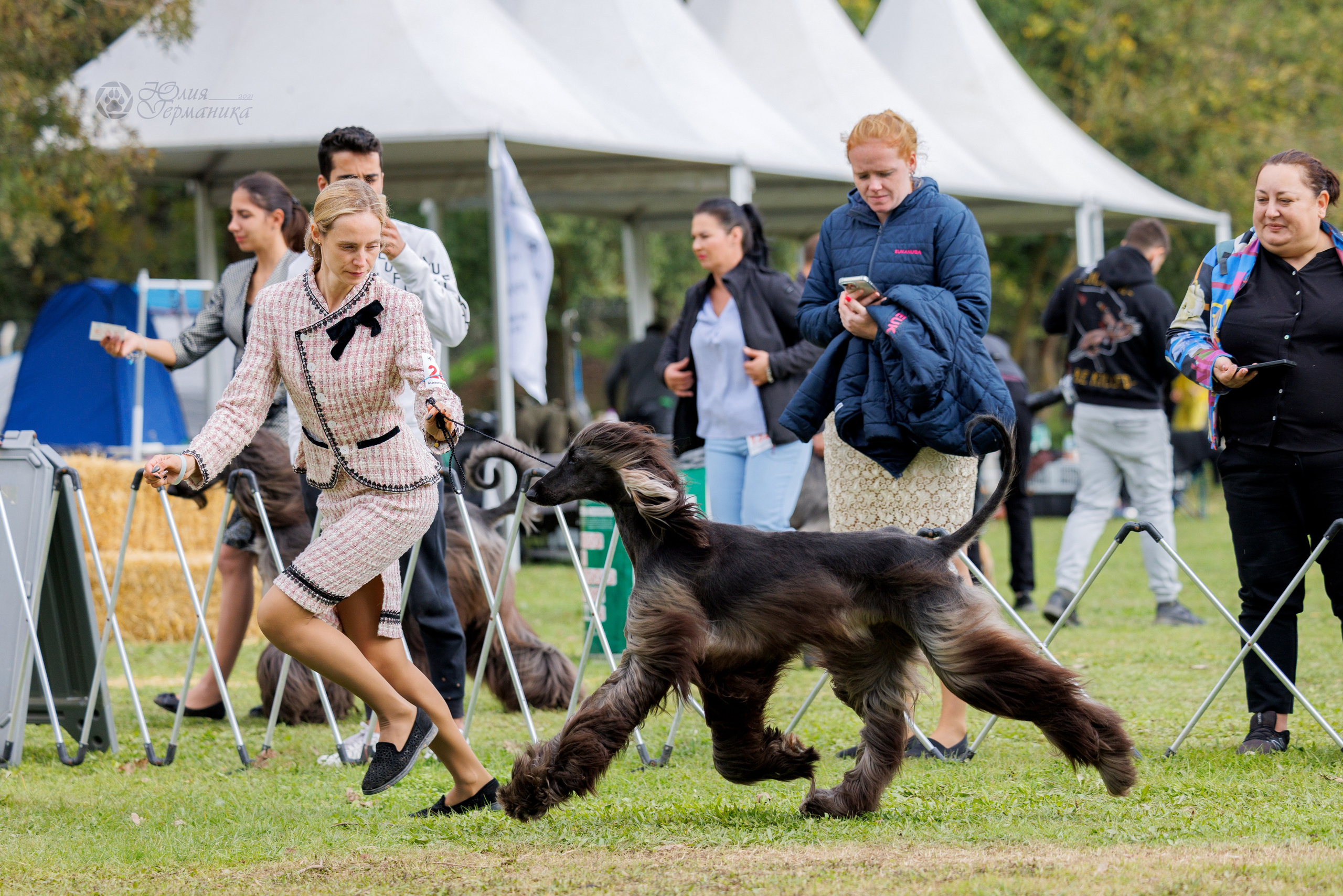 Туция,Стамбул 2хCACIB 26-27.10.24. Фотограф-анималист Юлия Германика
