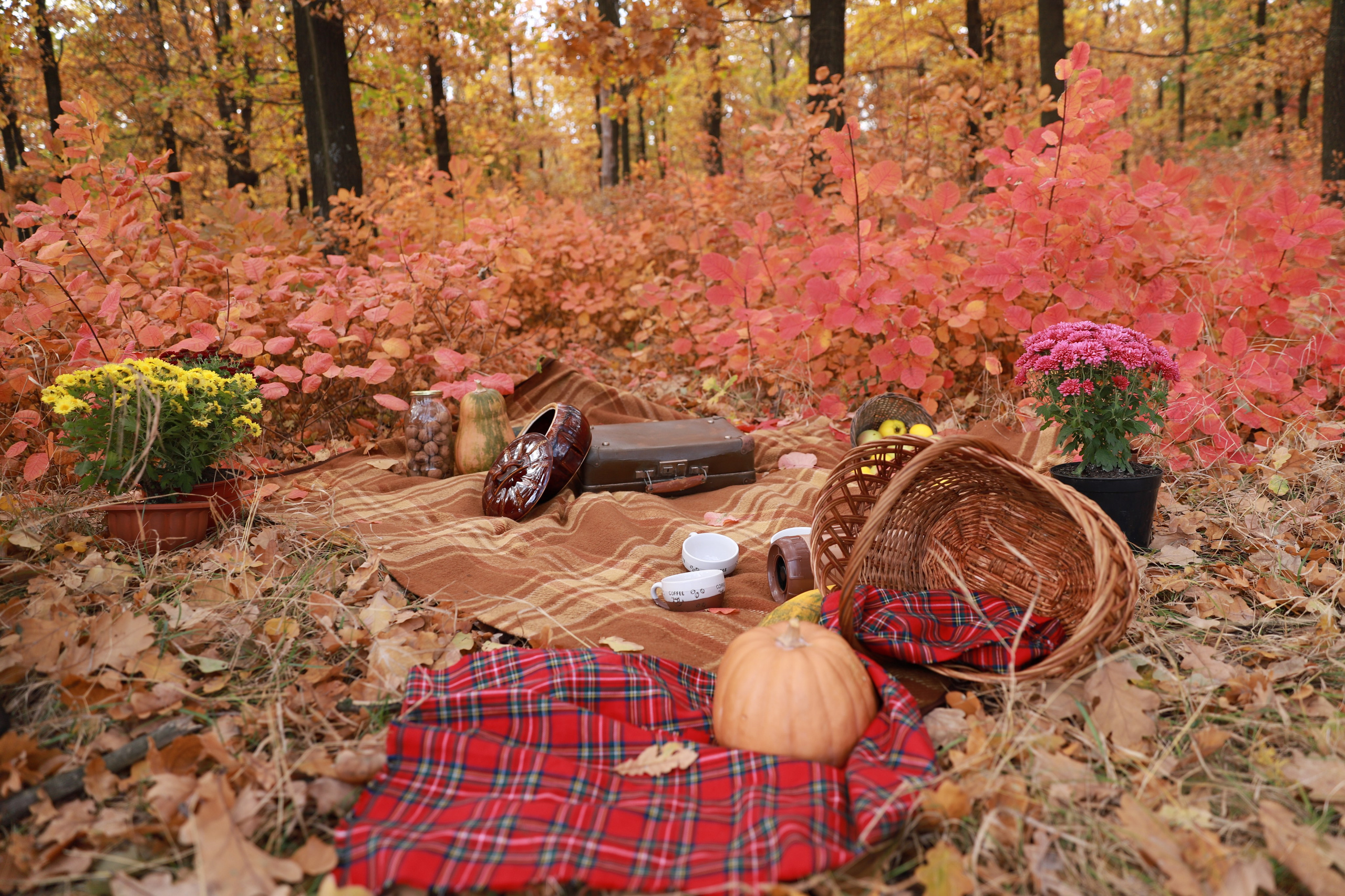 Самайн. Яна Чхан — Фотограф в Донецке и не только