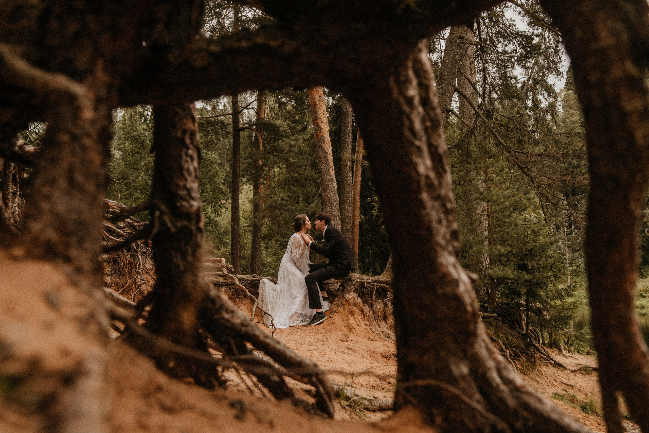 УТРО В ЛЕСУ. Миша Снимет | твой фотограф