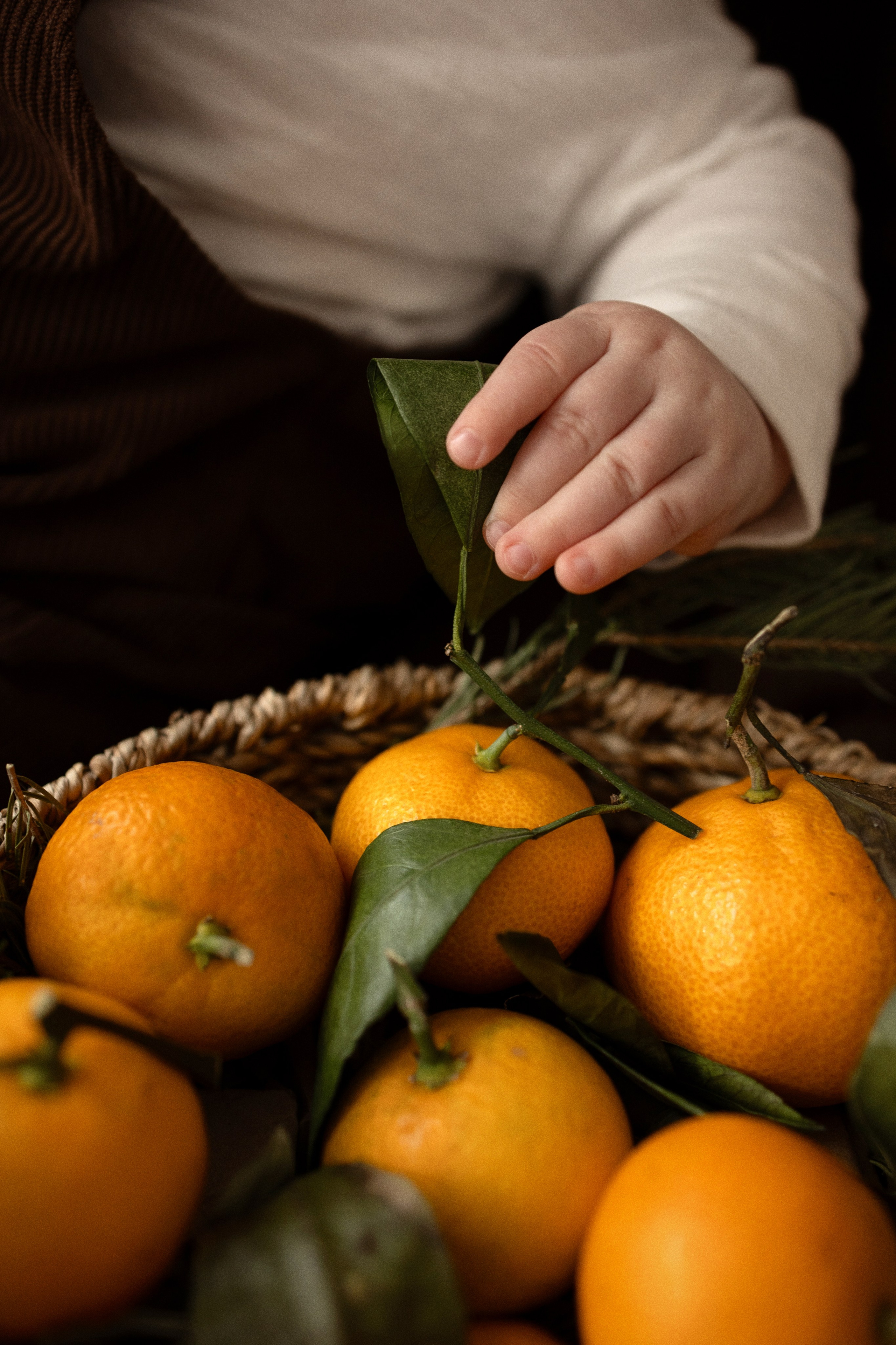 Алина и Дима. Семейный фотограф Надежда Каримова | Иркутск Байкал Аршан