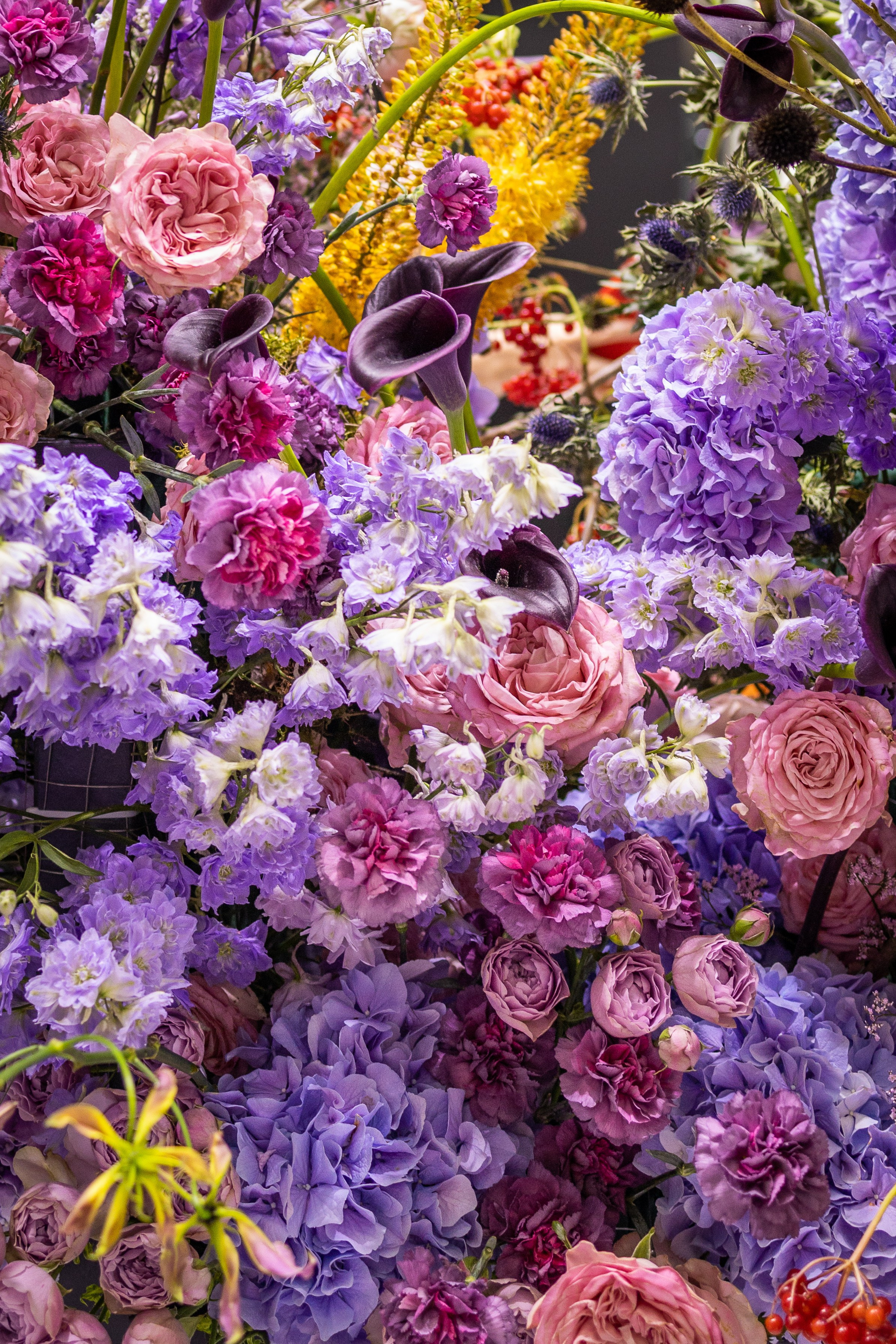 Цветы-Экспо 2025. Фотосессии и репортаж — Фотограф в Москве — Рина Серёгина