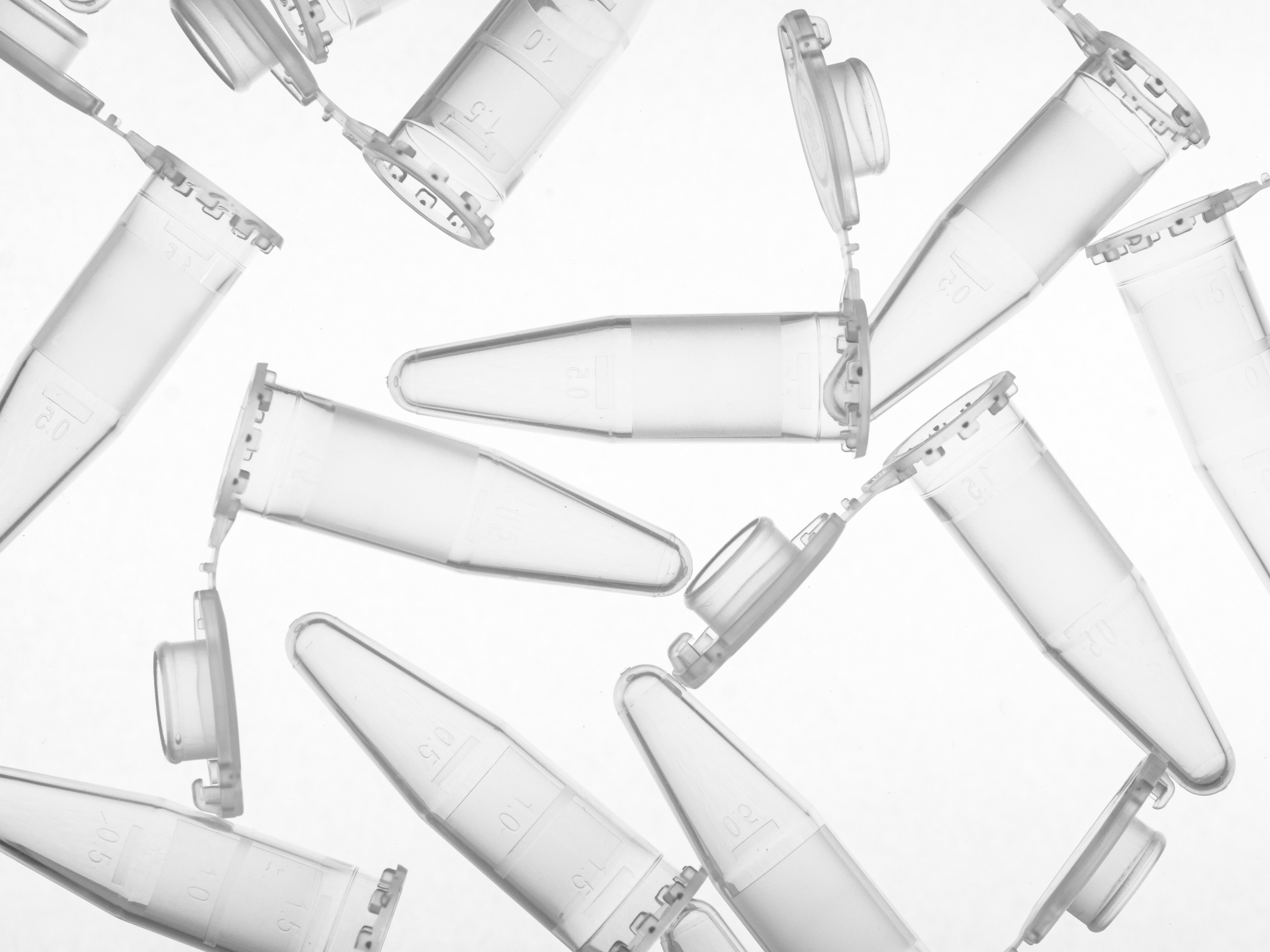 Предметная и каталожная съемка портфолио (фото)