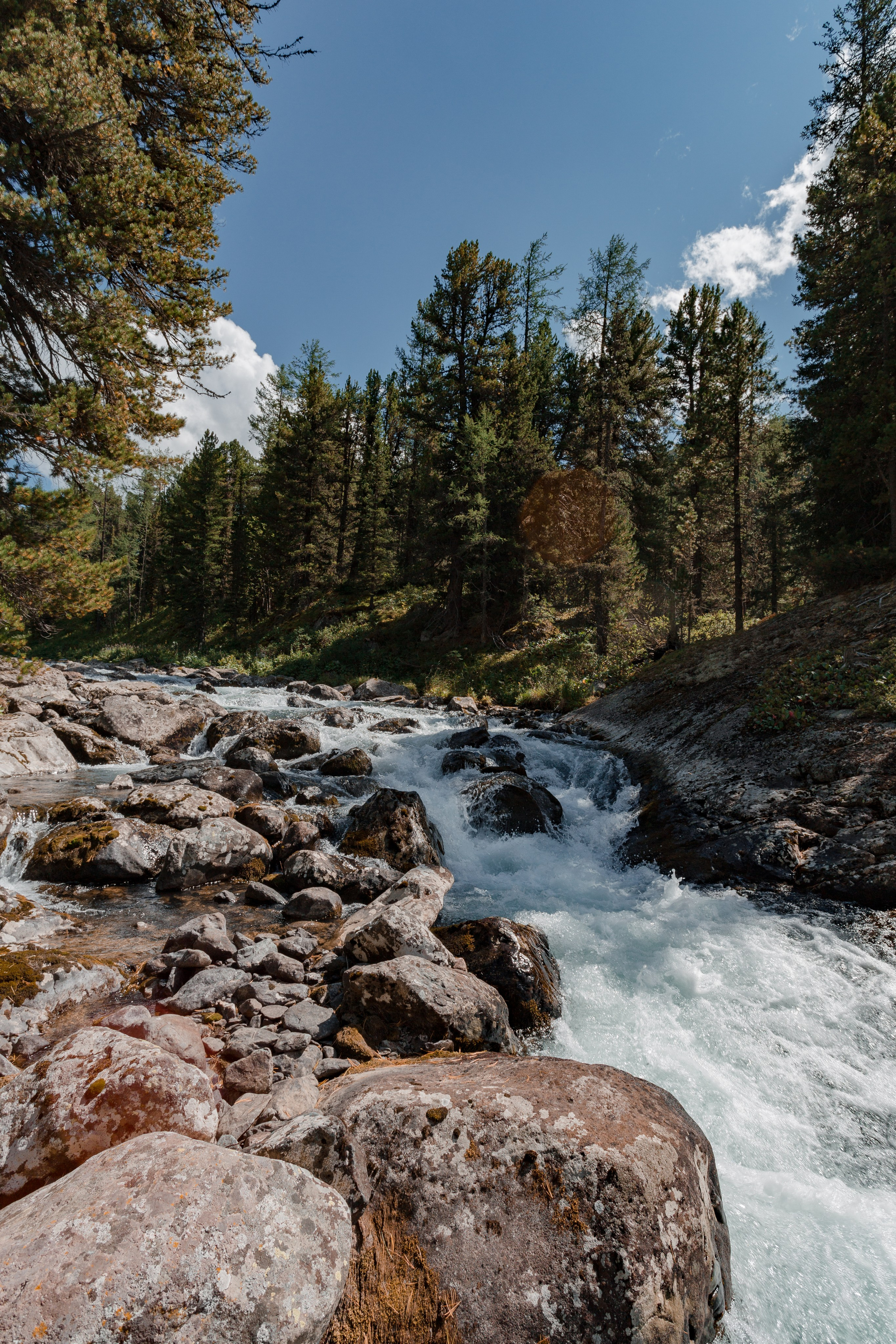 Катунский заповедник, Республика Алтай. Репортажный фотограф в Крыму Ксения Гасица