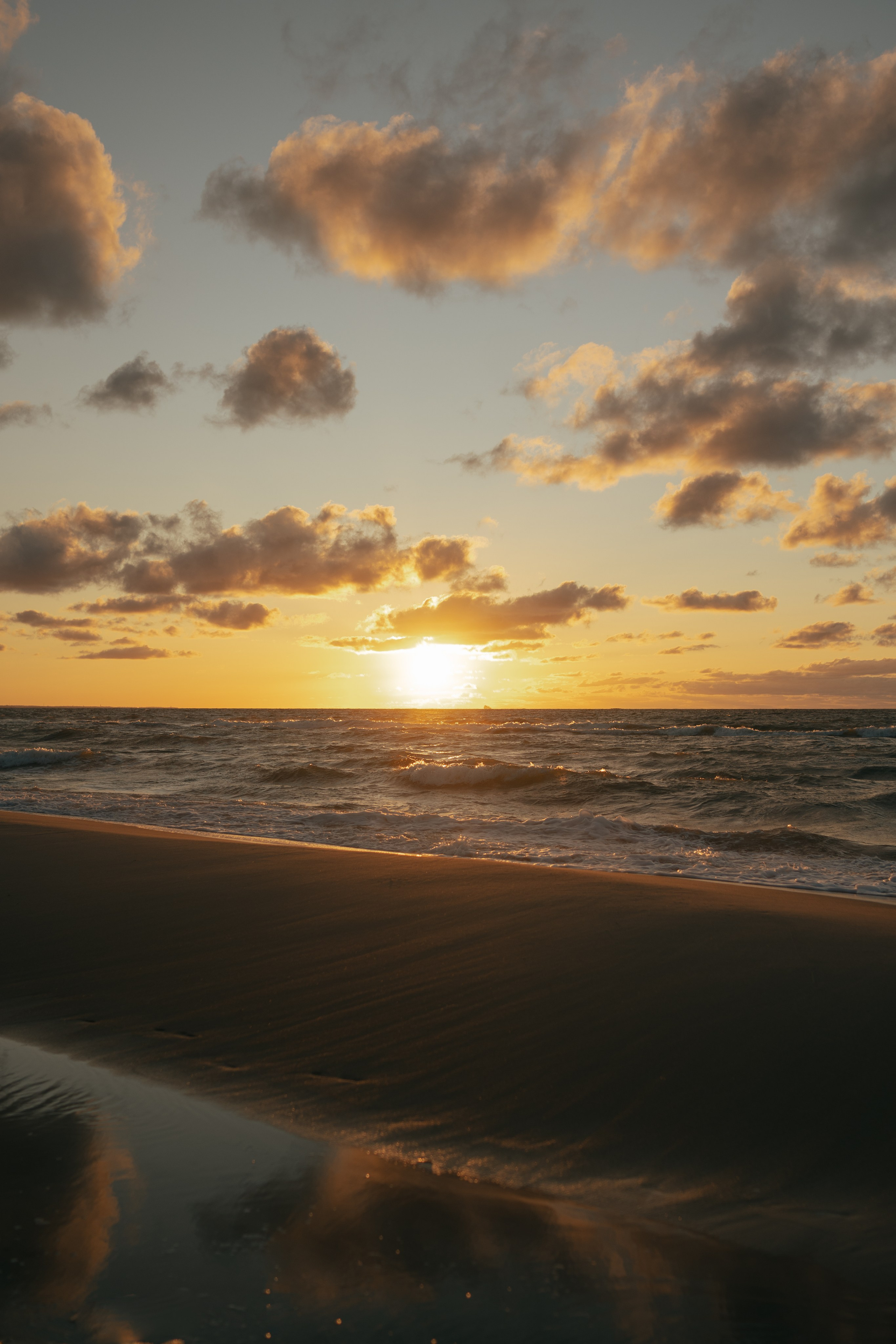 Алима & Никита. Куршская коса. Оформление свадеб, декор свадеб Вера Маркова, Москва
