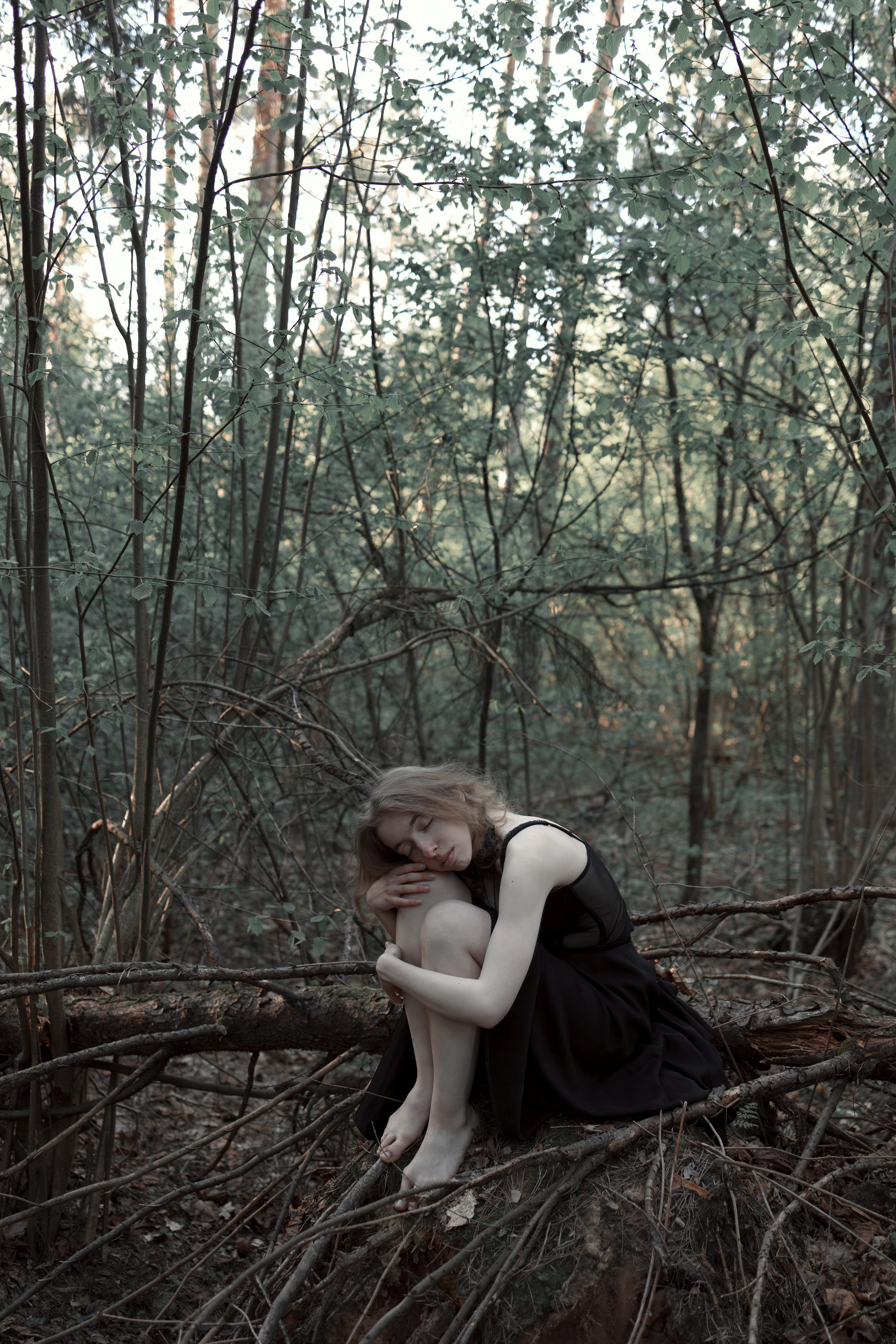 Schutzwald. Арт-фотограф. Coffelisk