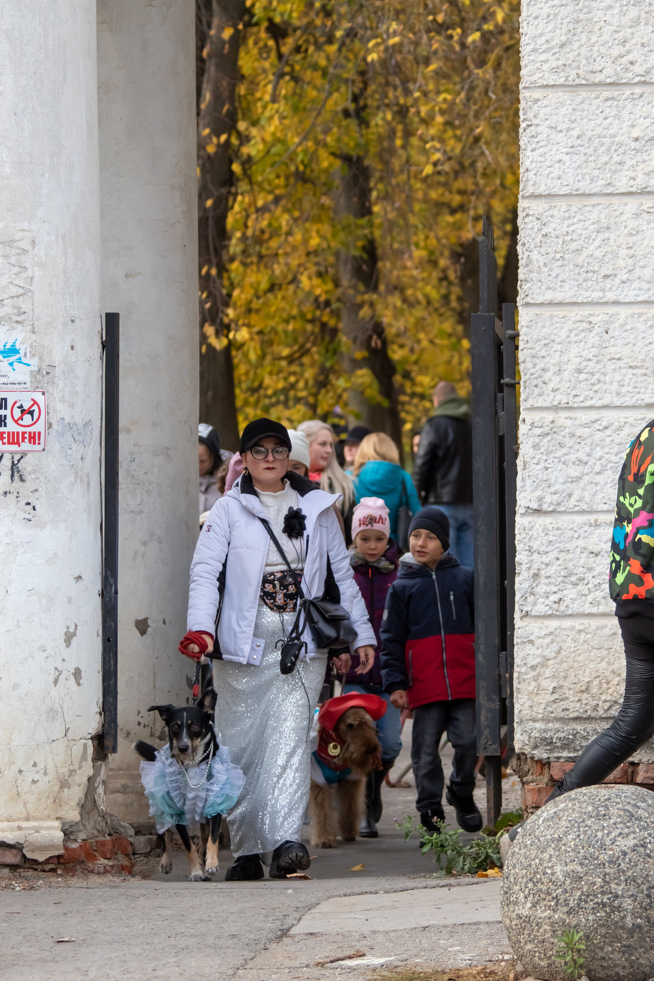 Костюмированный парад собак. Фотограф анималист — Тула, Москва