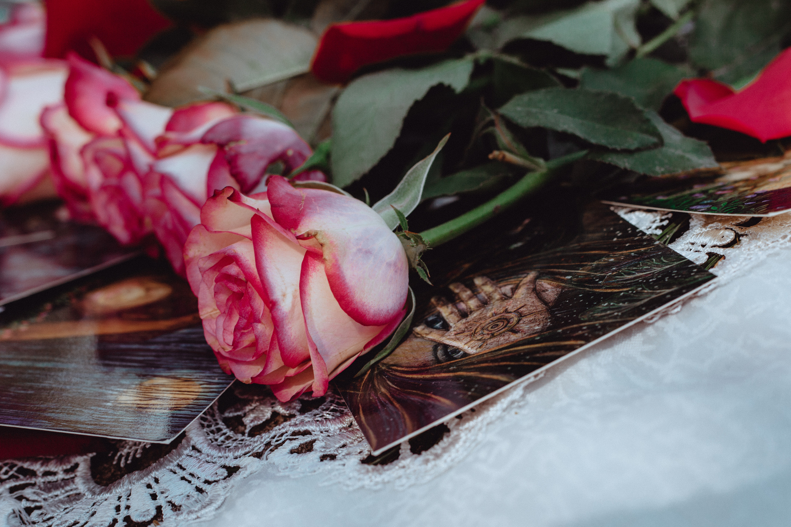 О 30.07.23. Фотограф Старый Оскол Мавлыга Мария