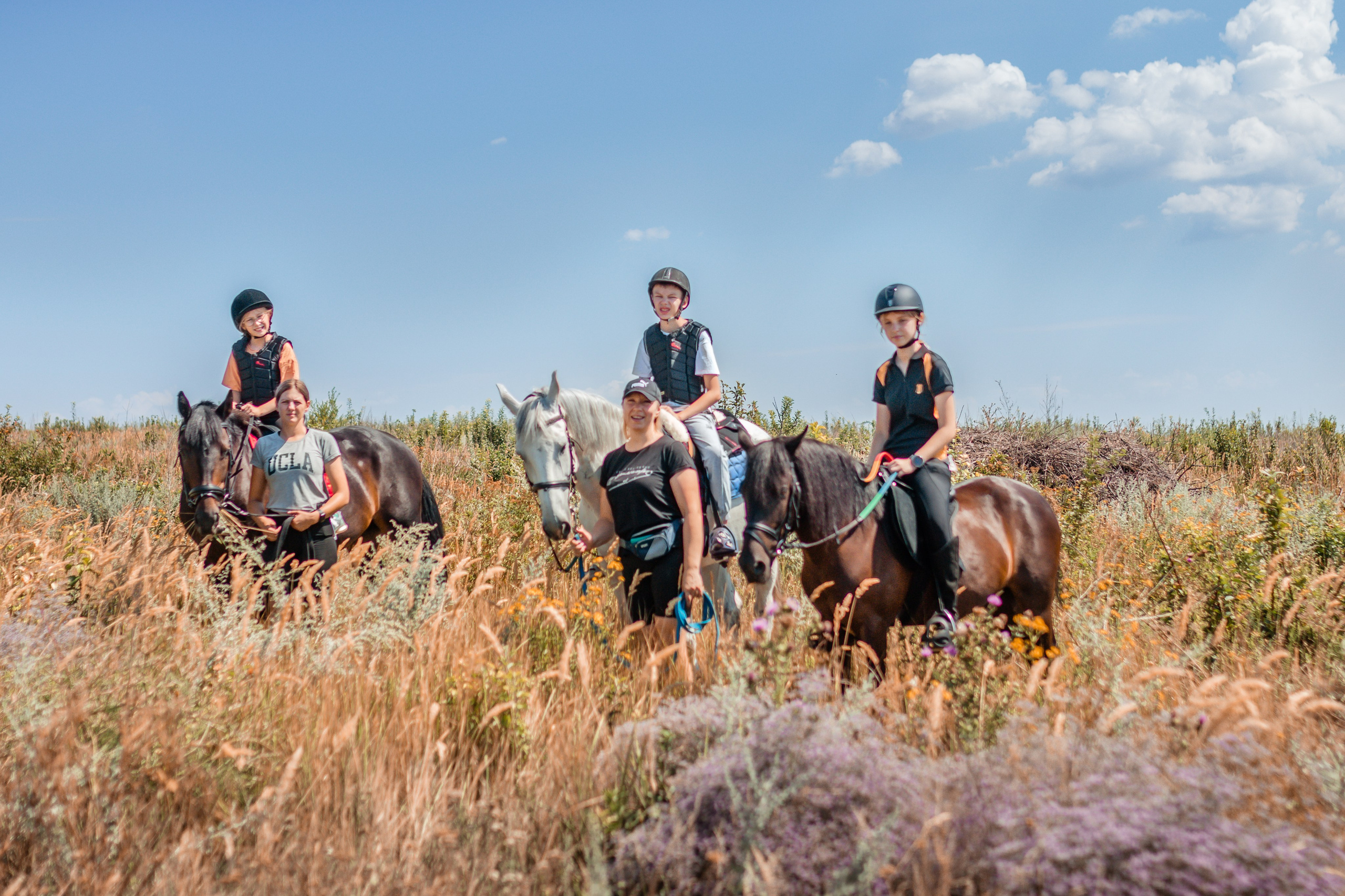 Выезды в поля на лошади