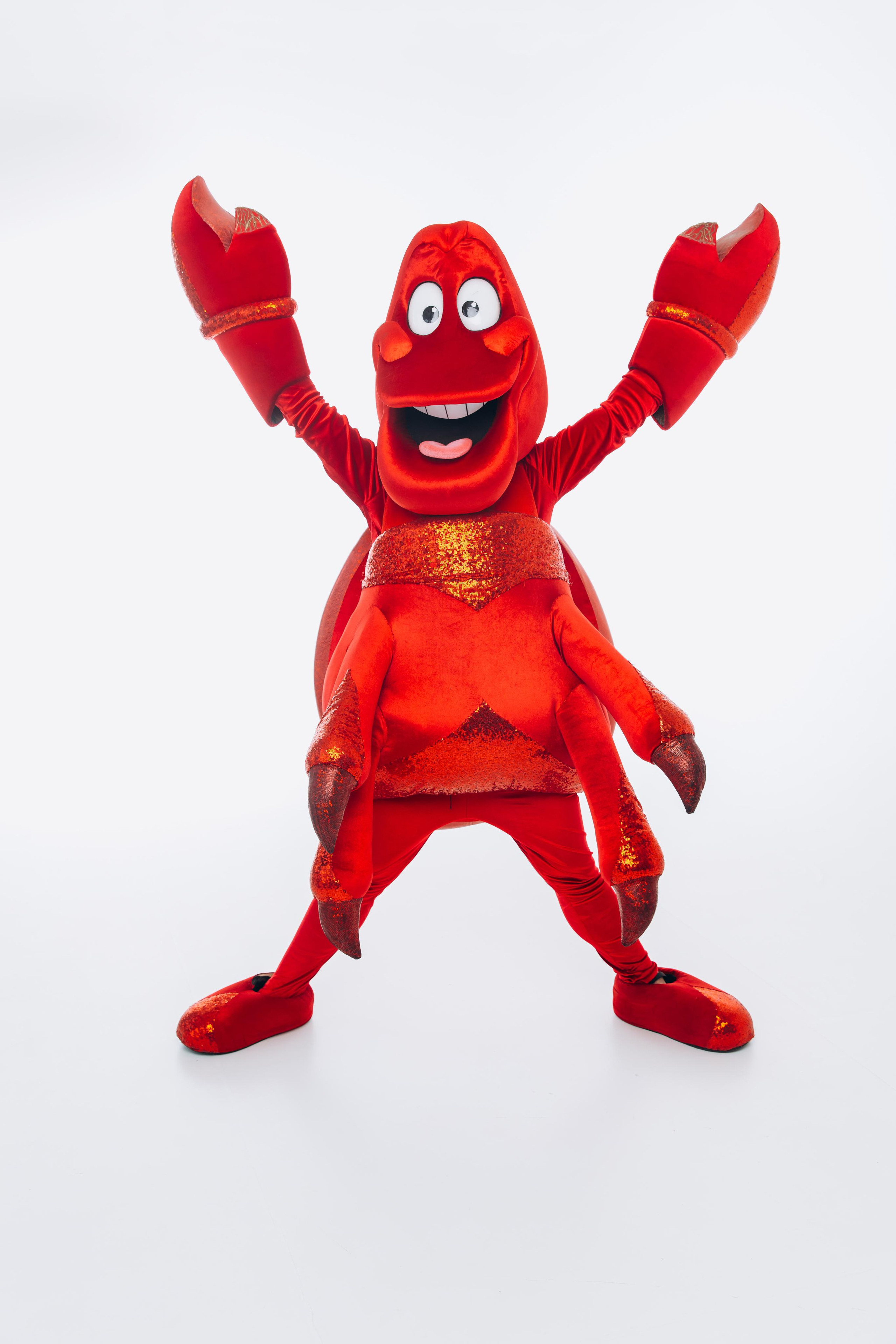 Андерсен. Контент для студии детского праздника. Лихошерстов Андрей — фотограф для бизнеса из Сибири