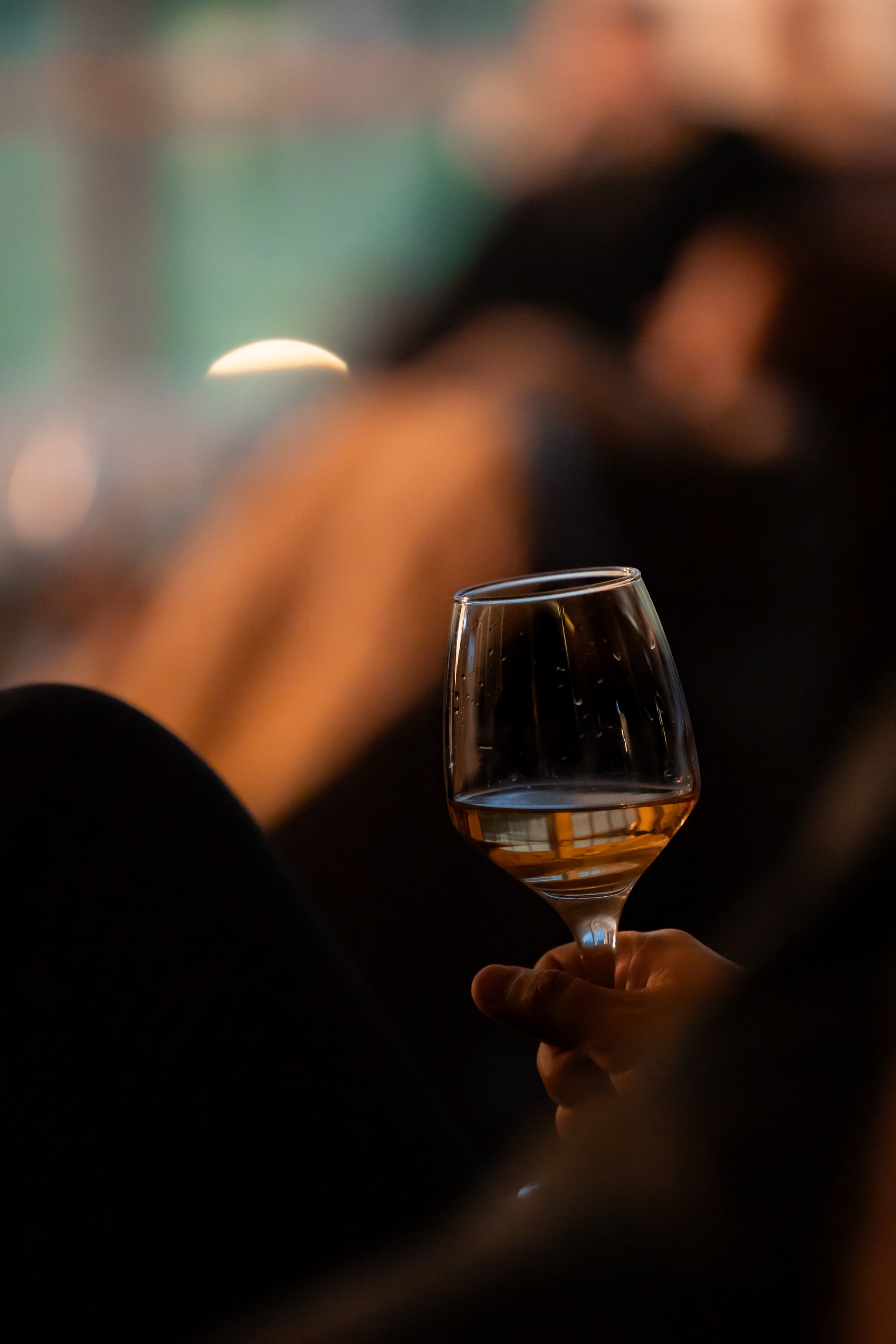 Алтай Бизнес-клуб «Новые Горизонты». Фотограф Москва Людмила Белова