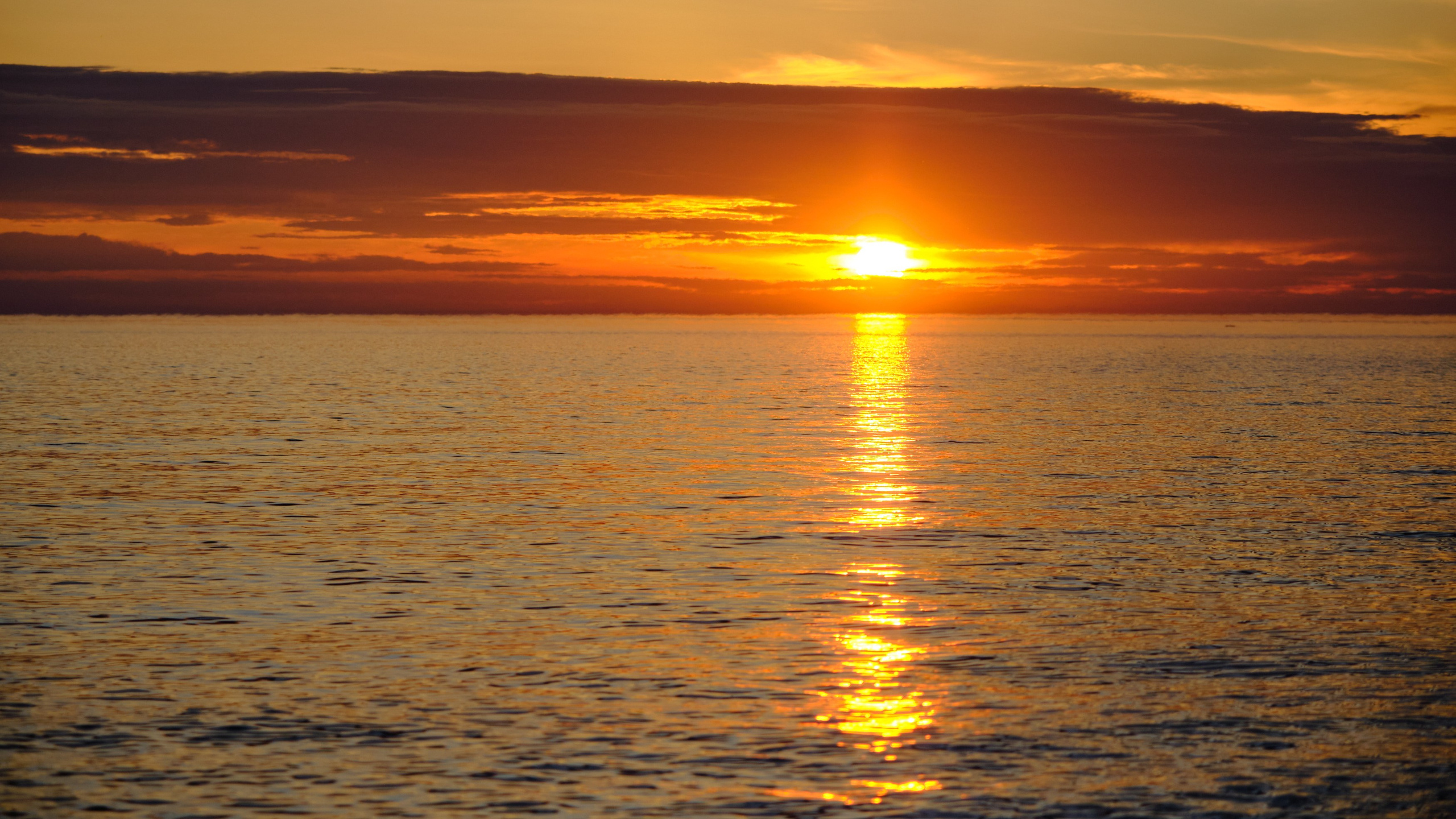 AQUATICS. Из Хабаровска до Шантарских островов. Юрий Березнюк. Фотожурналистика