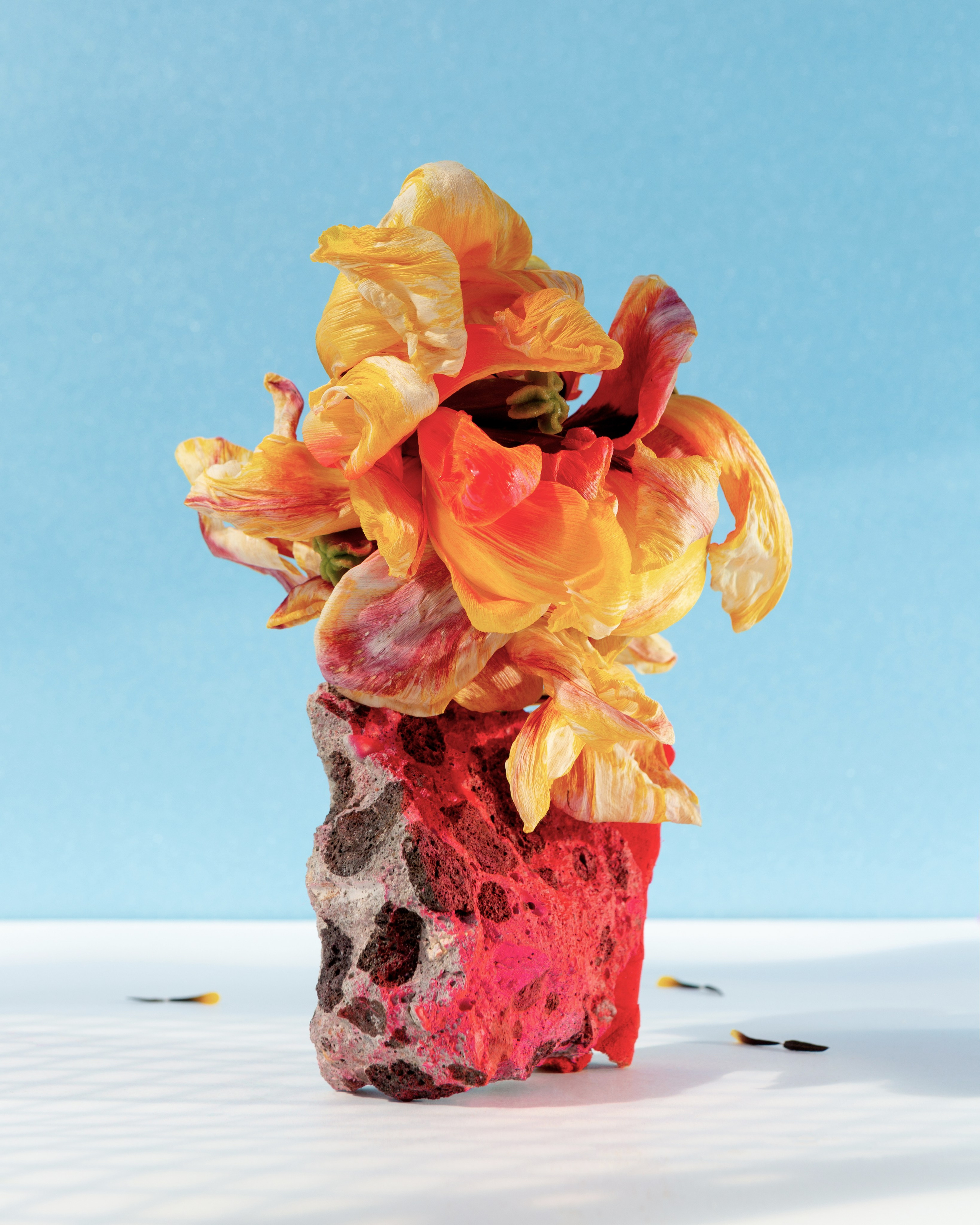 Условная ботаника. Фотографии Саши Любина