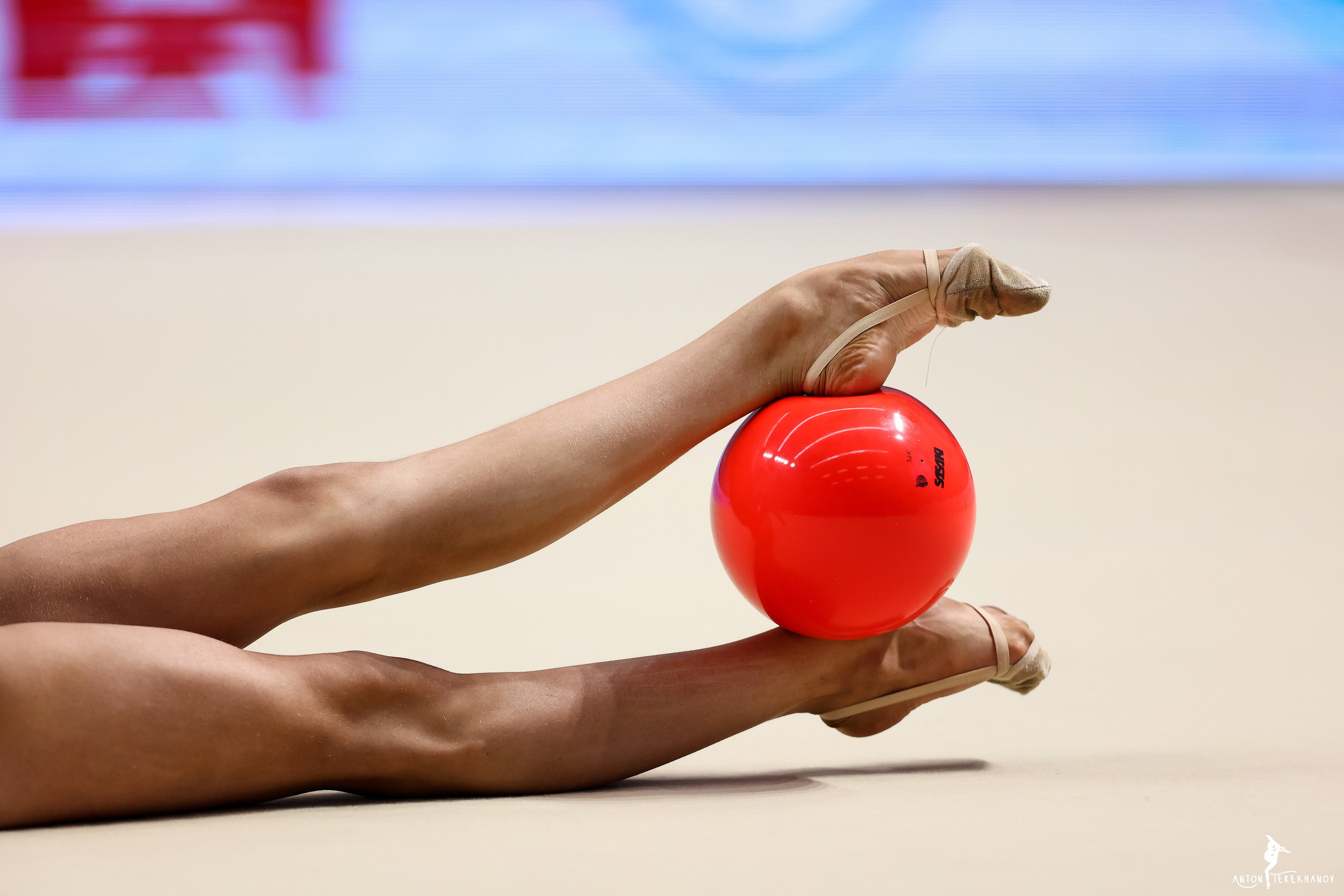 Кубок Санкт-Петербурга 23–25 ноября 2023. Спортивный и репортажный фотограф Антон Тереханов