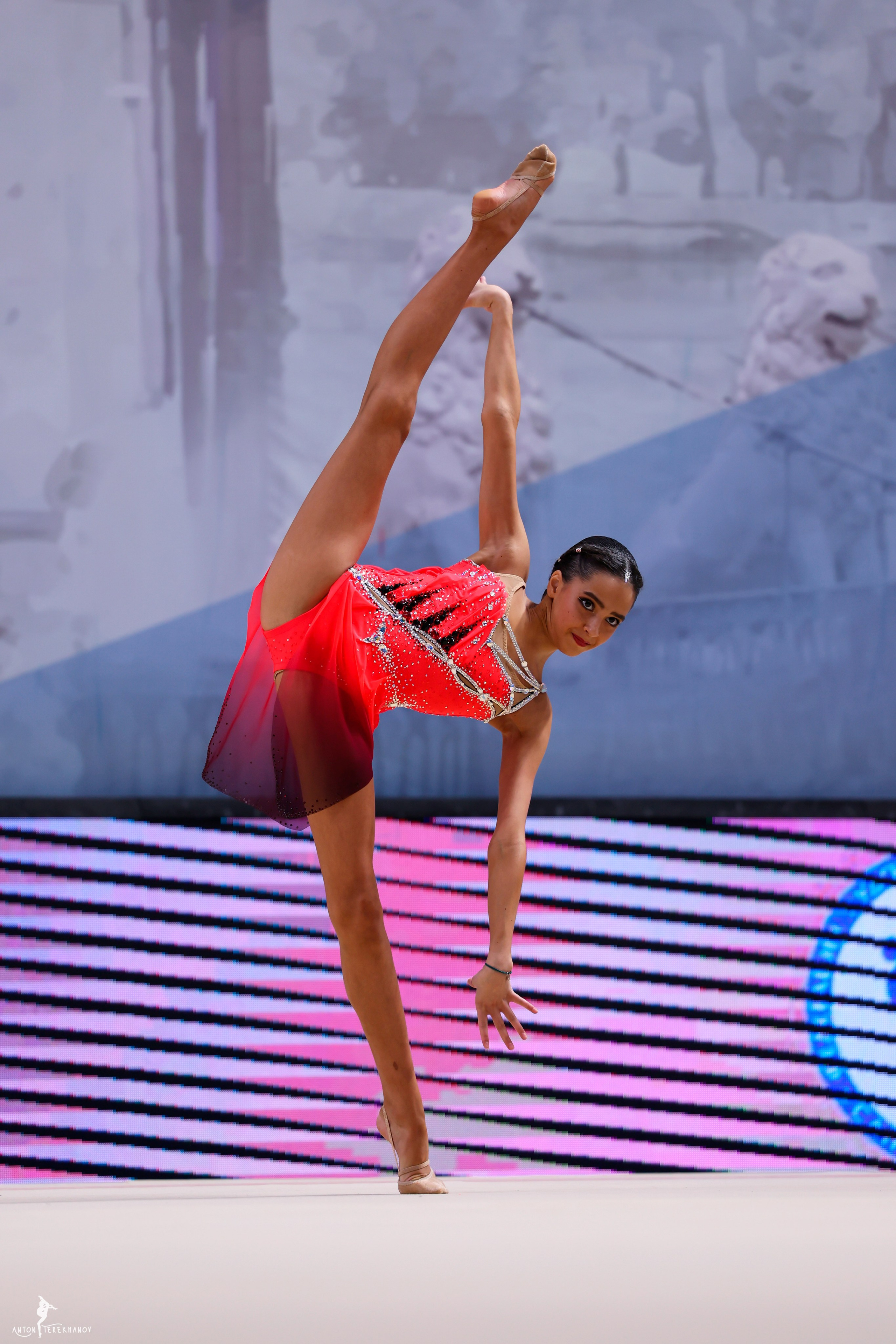 Первенство Санкт-Петербурга 2025. Спортивный и репортажный фотограф Антон Тереханов