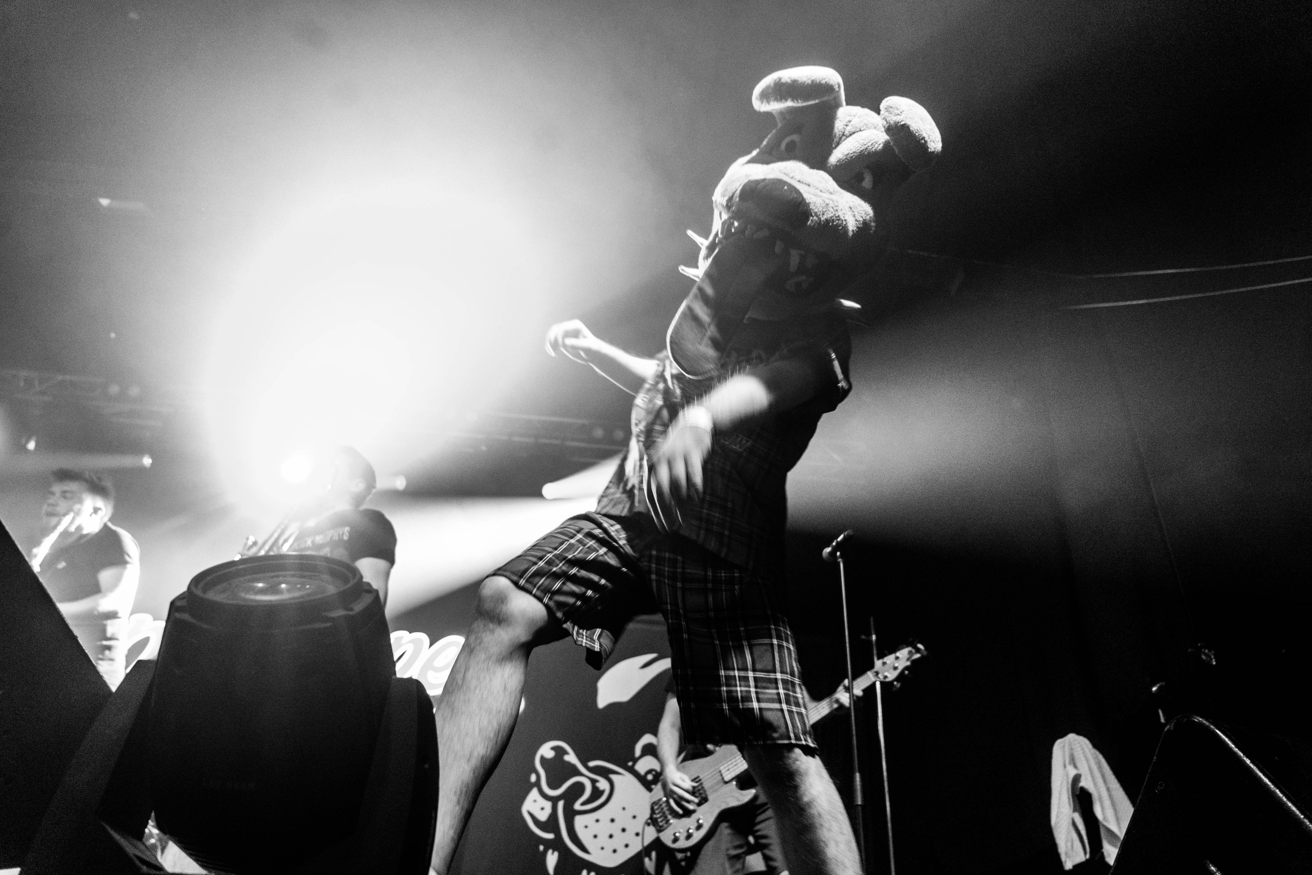 Distamper. Твой фотограф — Полосатый кот