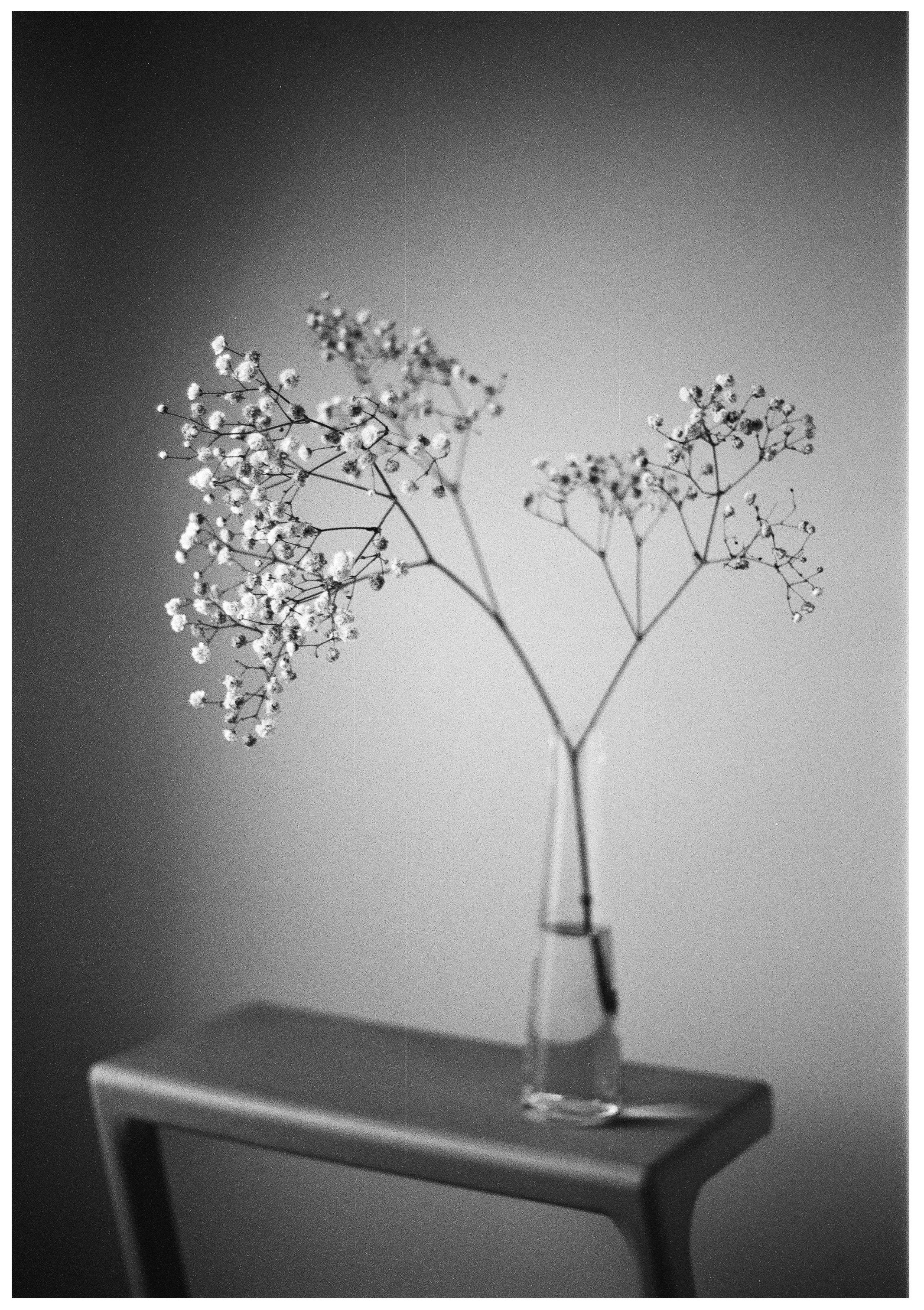 Картинки. Сандра Ковалева | ЧБ фотограф