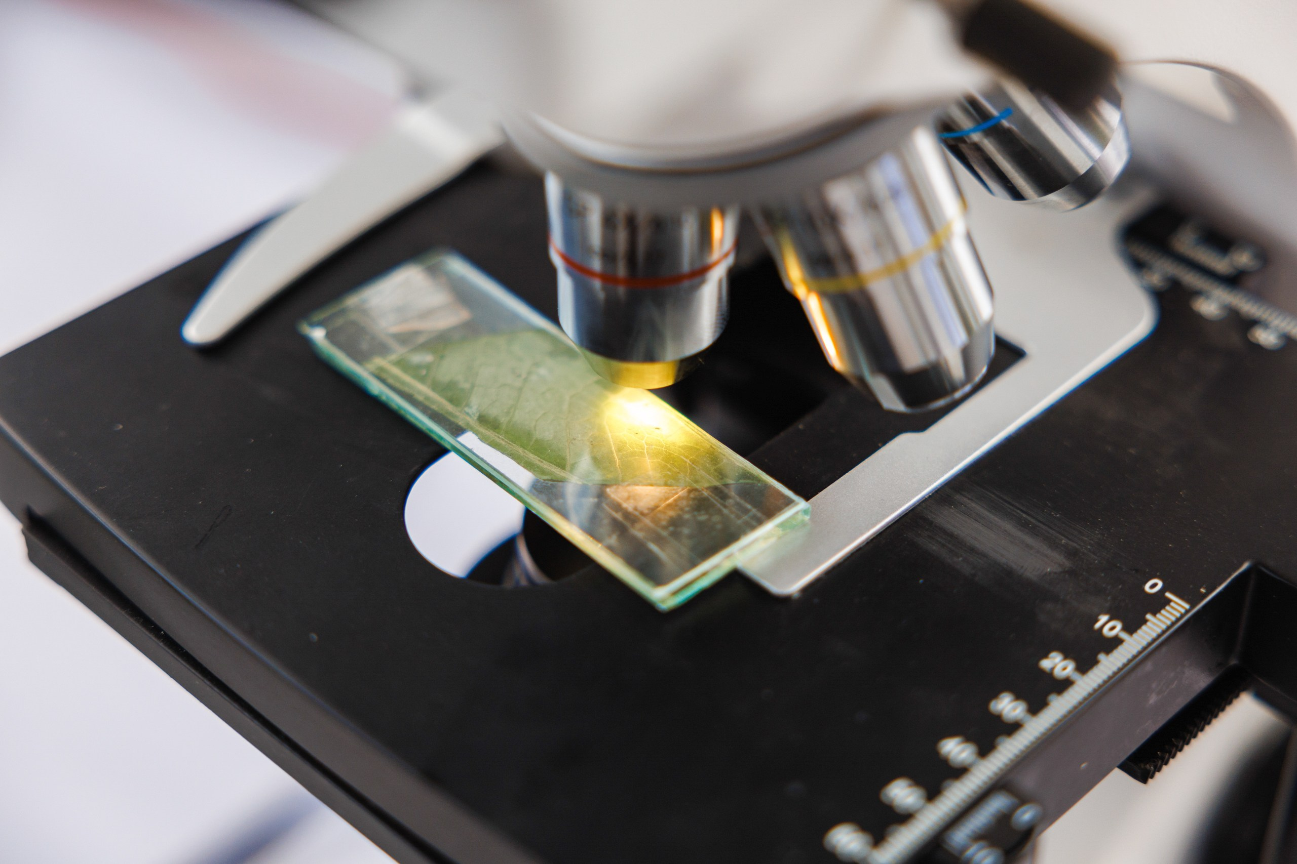 День Поля 2025 Волгоград. Фотограф Ставрополь Петр Голубенко