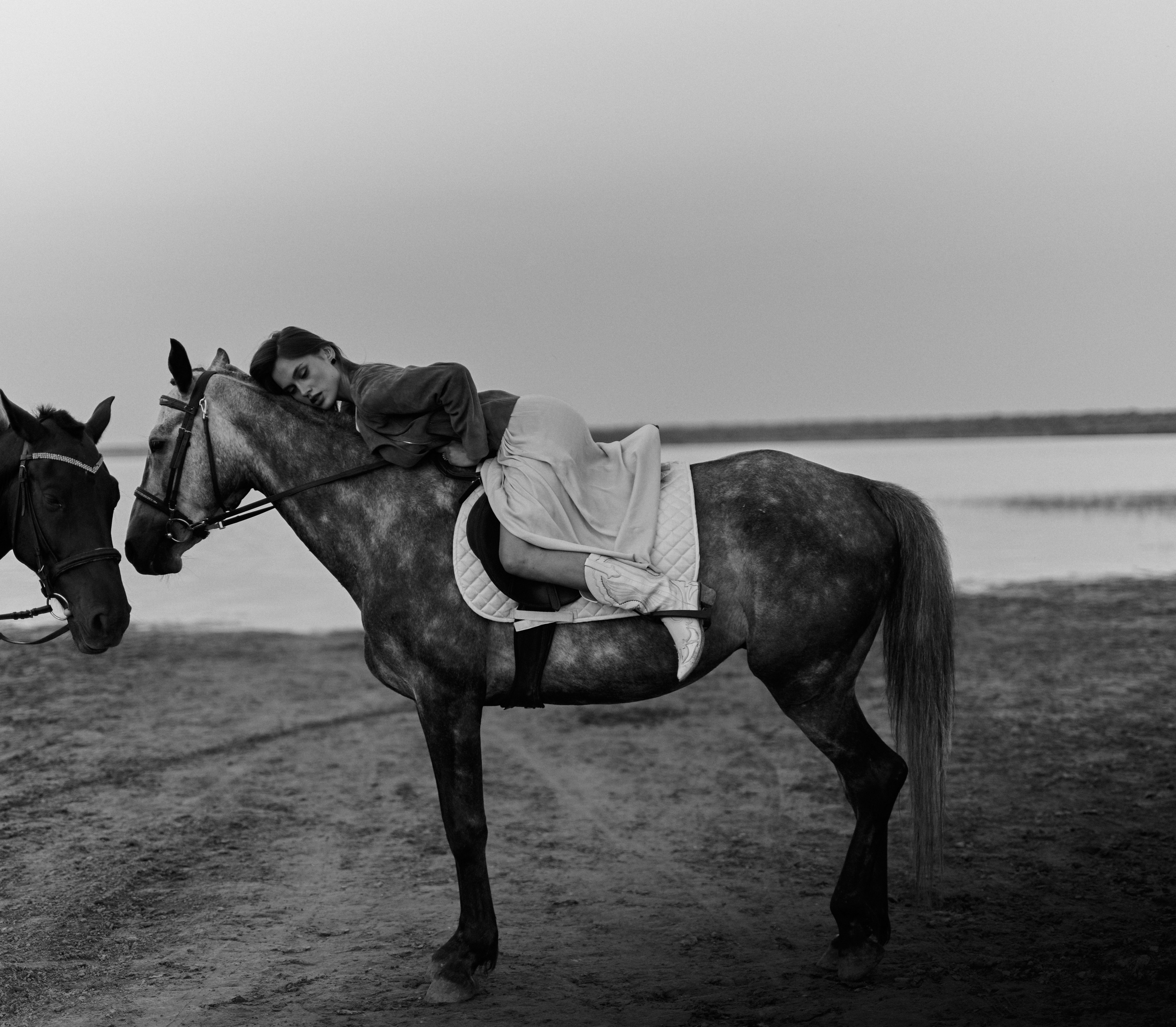 Выездная Лошади. Фотограф в Краснодаре и Динской Виктория Вебер