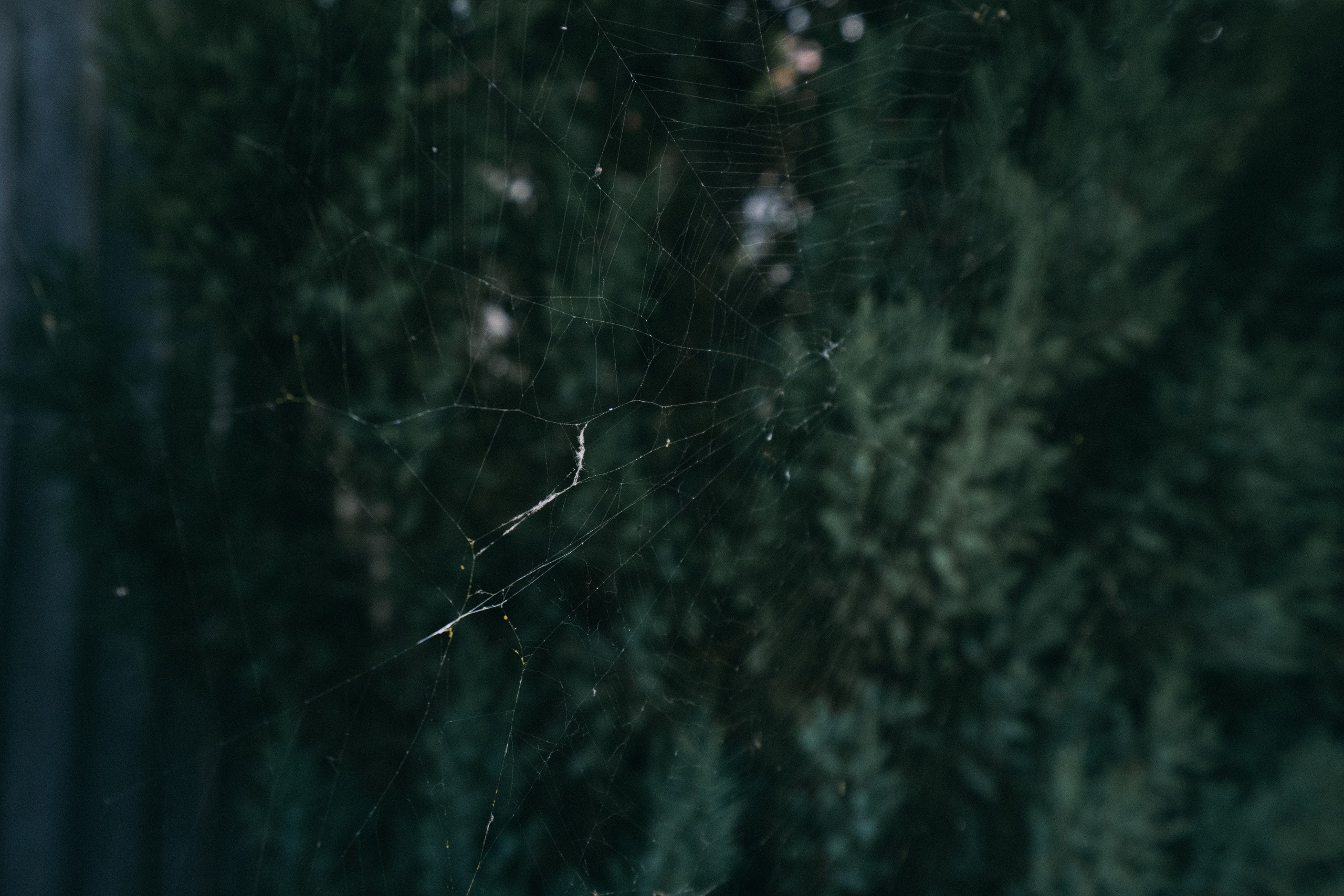 Белгород. Фотограф Алиса Аспер