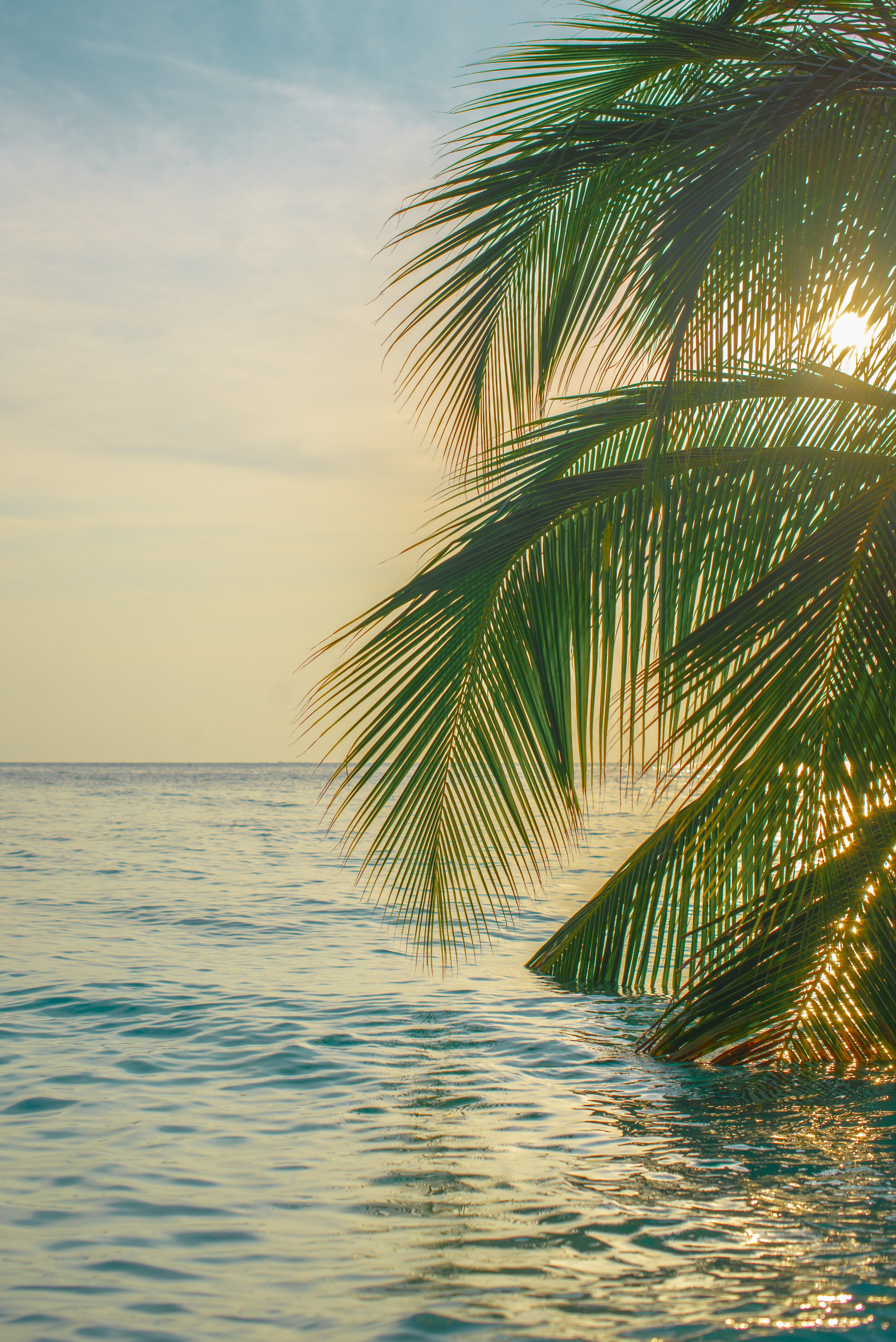 Мальдивы. Фотограф Алиса Аспер