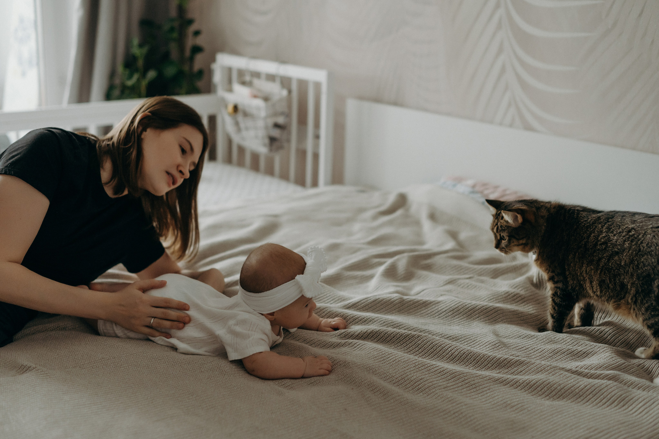 Агата, Катя, Руслан. Свадебный фотограф, фотограф беременности Дарья Доценко