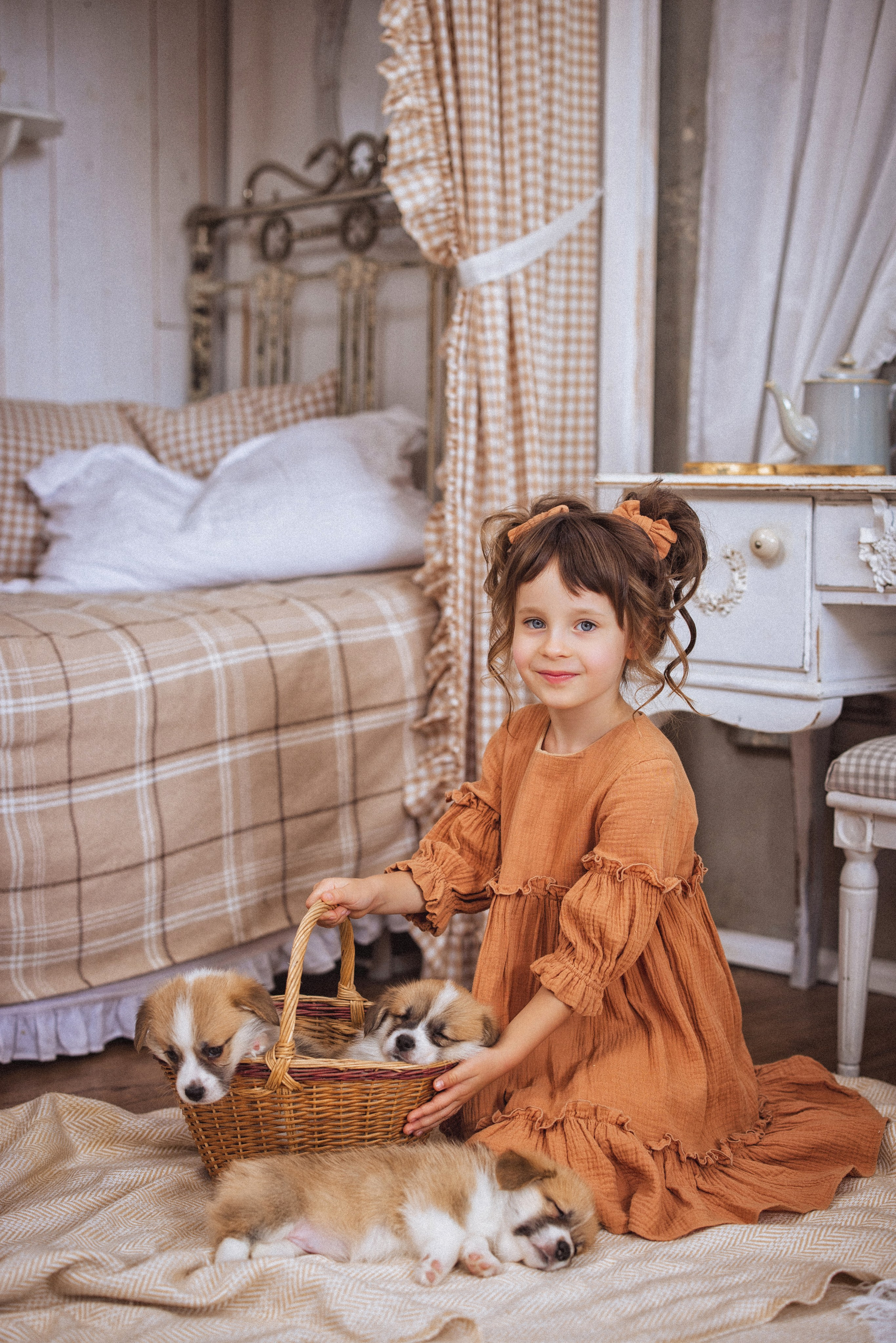 Фотосессия с щенками Корги, в фотостудии Ольги Сурухановой, город Краснодар. Семейный и детский фотограф в Краснодаре Анна Трашкова