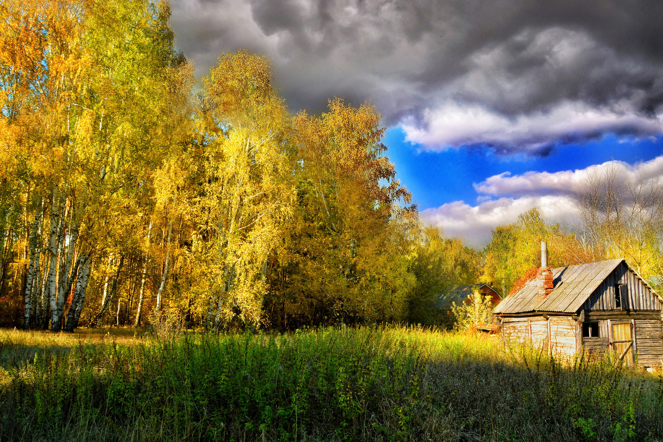 Природа. Главная