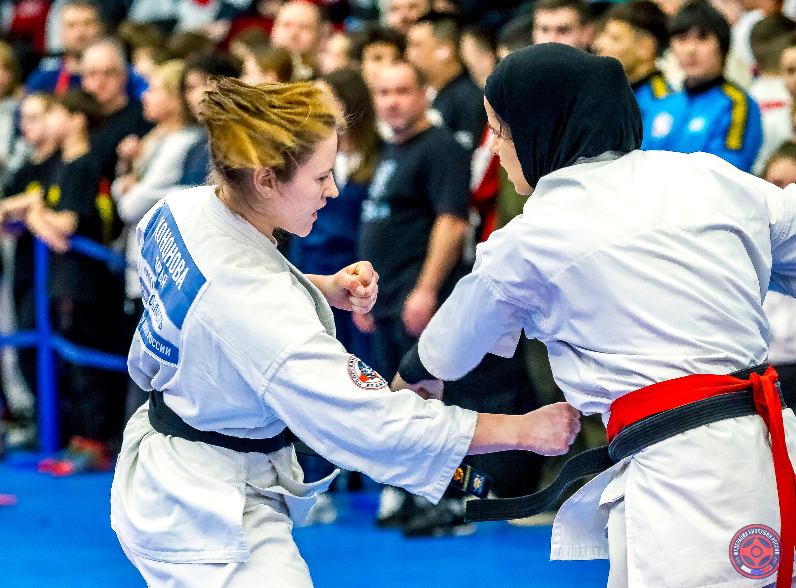 Международный турнир по киокушин «Открытый кубок Seiken». Репортажная съемка в Москве и области. Анималистика