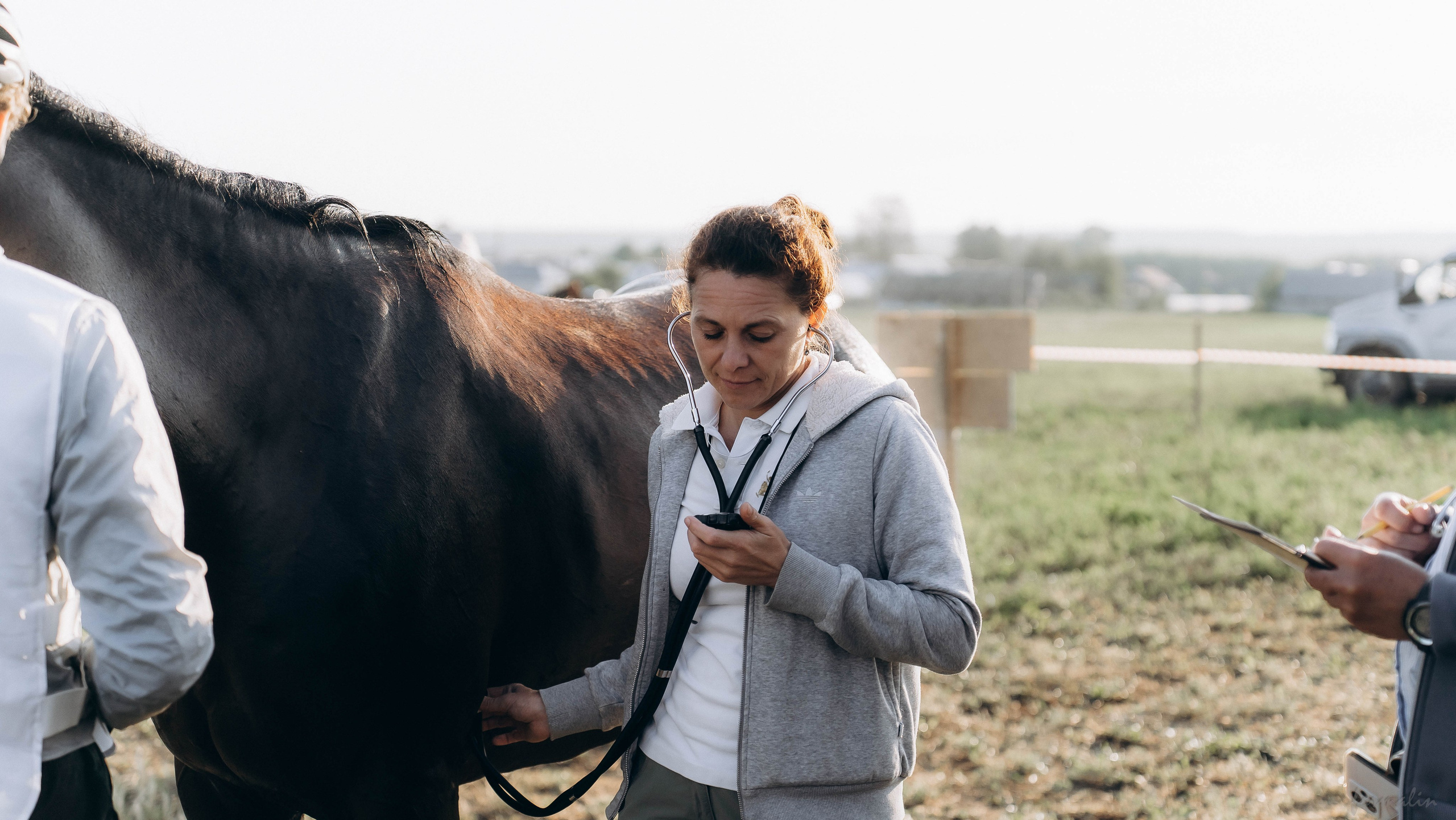 День Коня. Алиса Никитцова | Фотограф в Казани