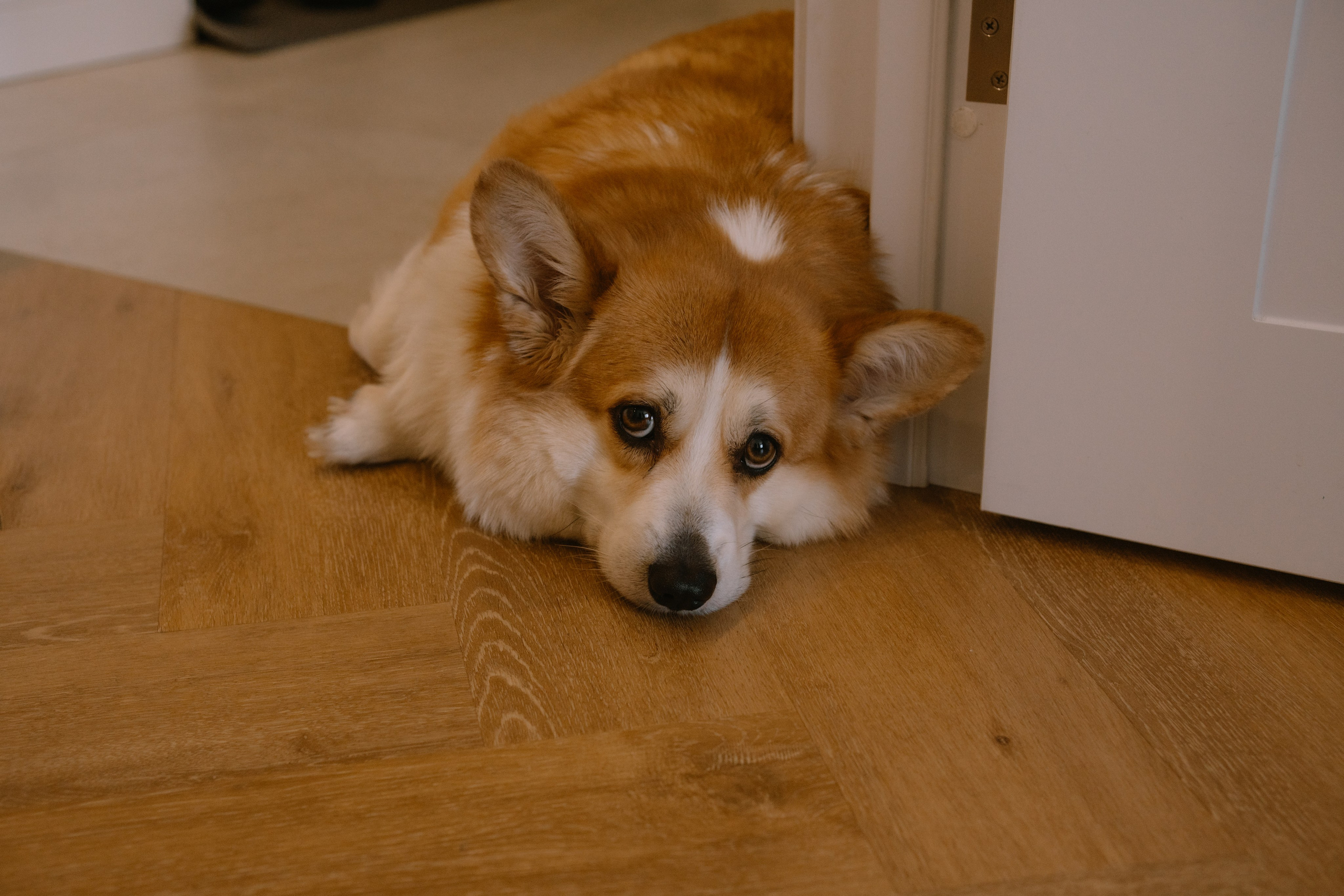 Пакет «Бесконечность». Мама+Малыш домашняя серия. Alenasokolowa.ru