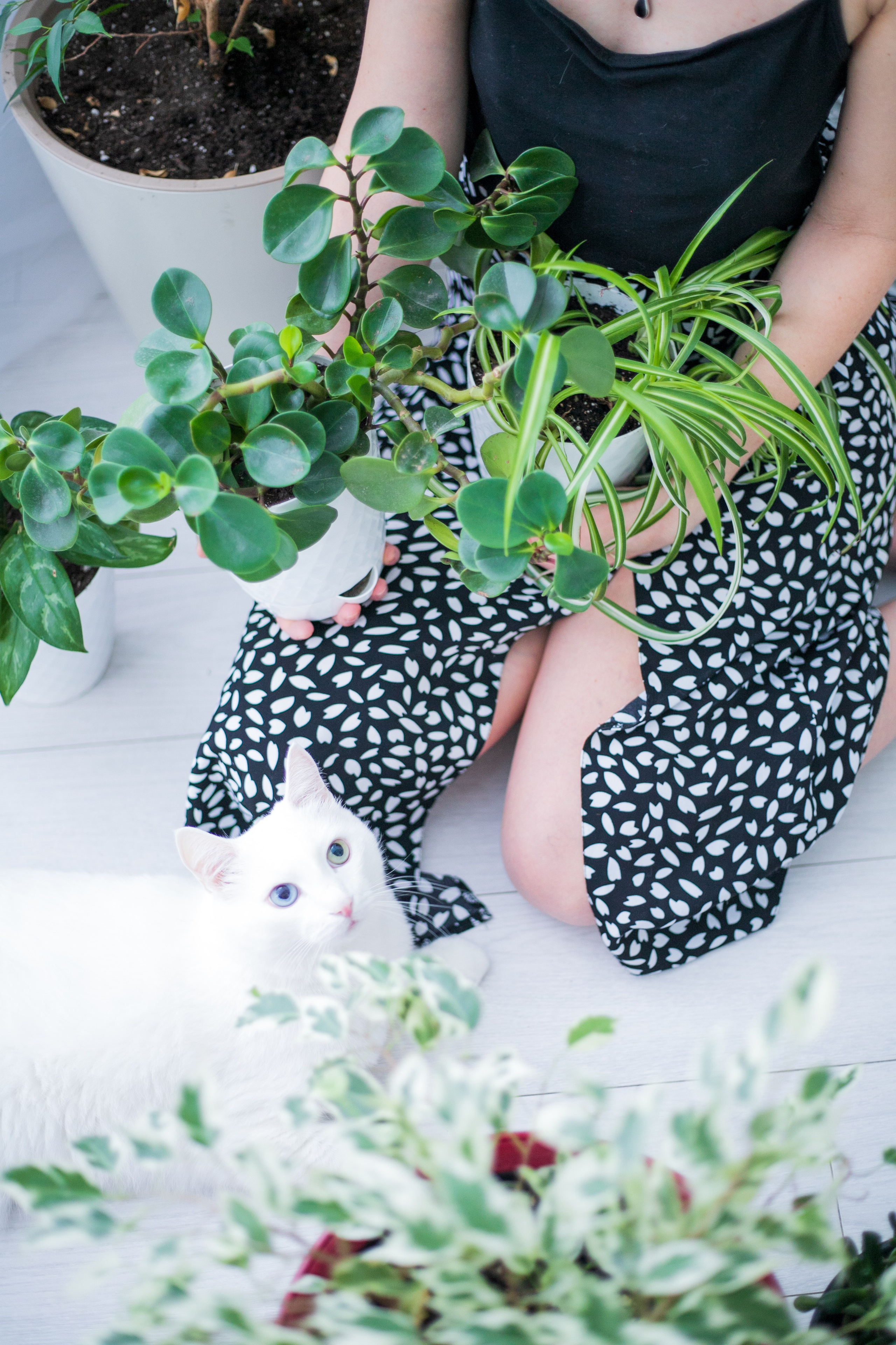 Женский портрет. Семейный и детский фотограф в г. Кемерово