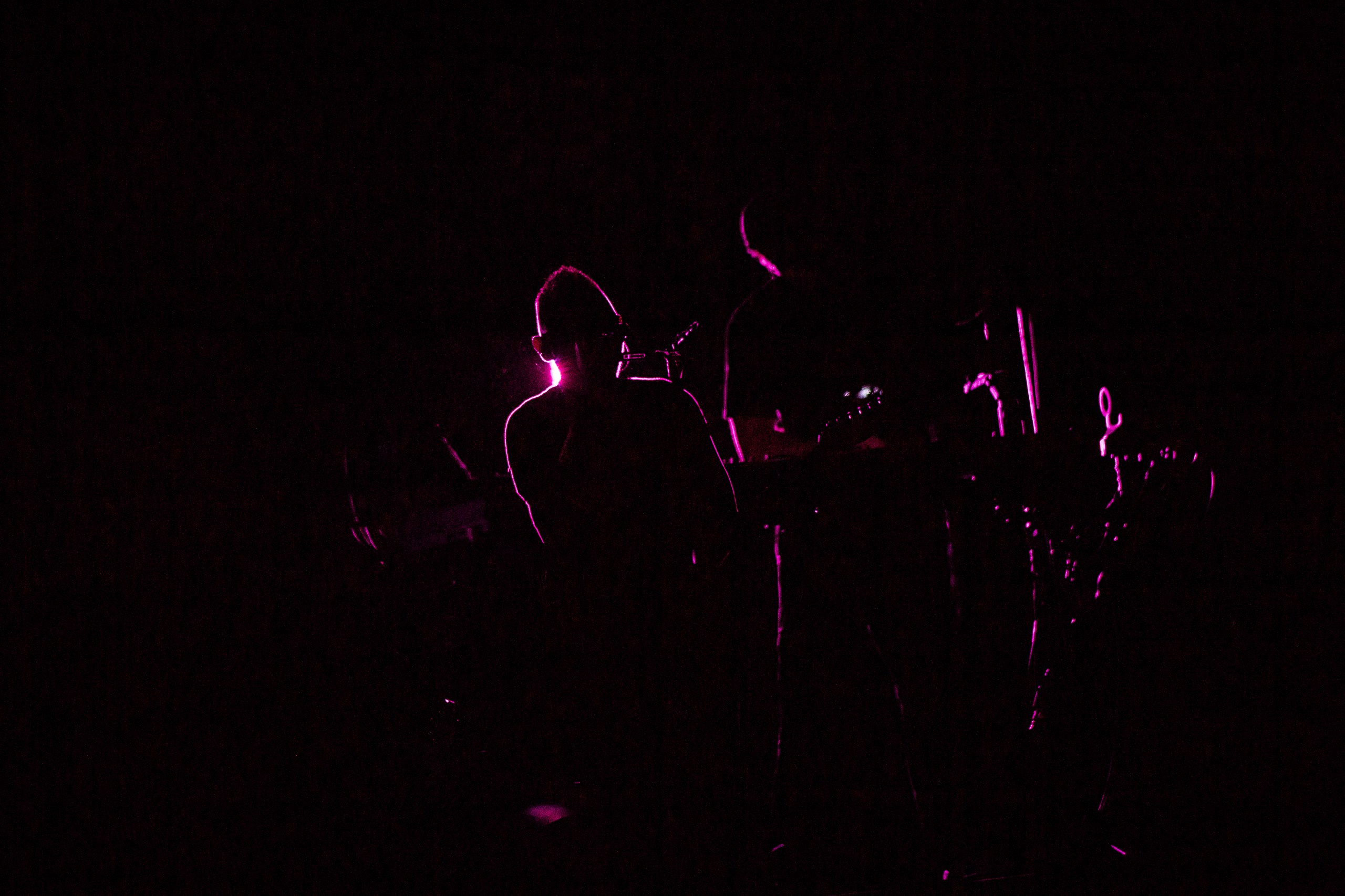 Звери 2025. Репортажный фотограф в Кемерово