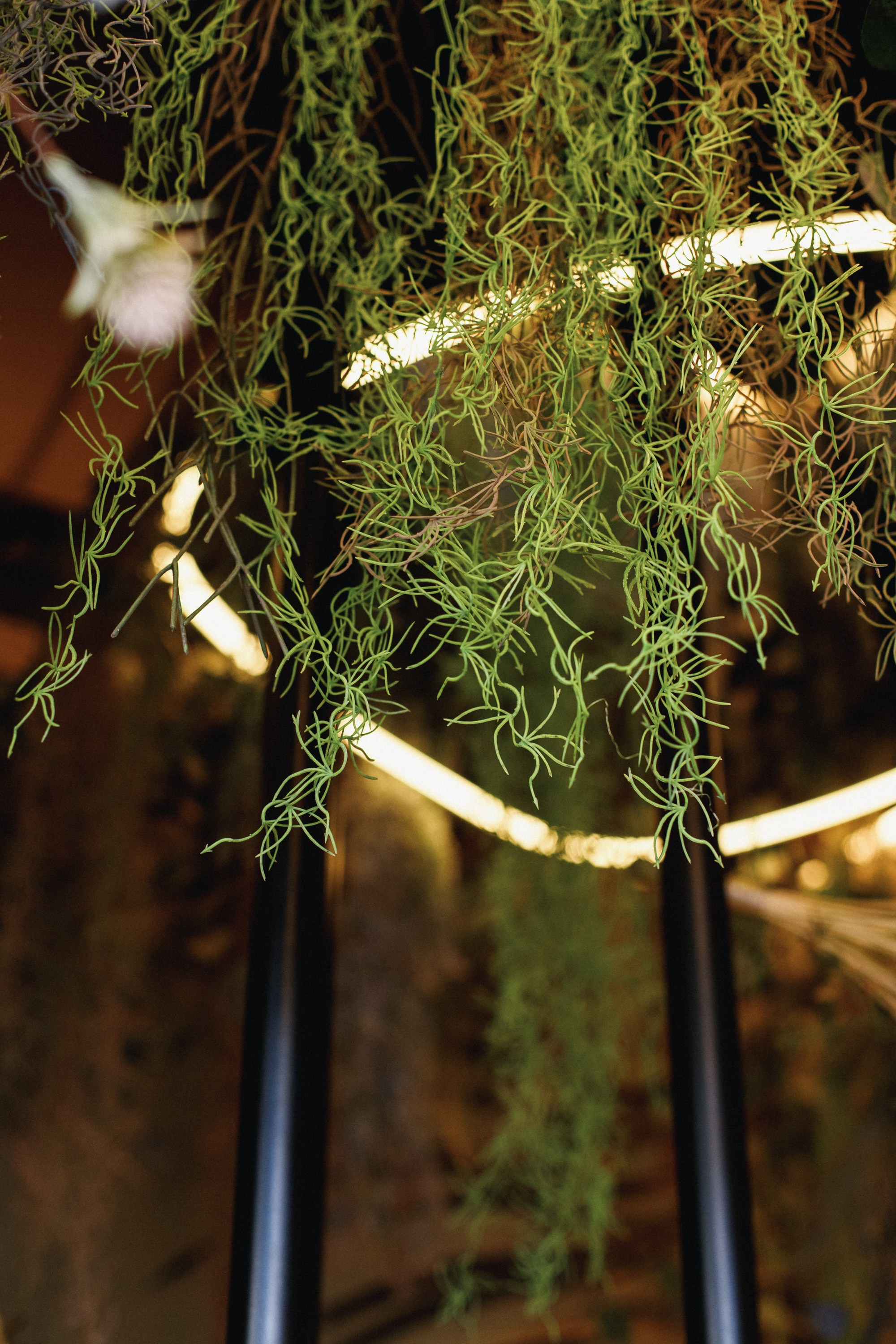 ХАРИБУ [ГАСТРОУЖИН]. СВОИ. ФОТООТЧЕТЫ-СОБЫТИЯ-МЕСТА