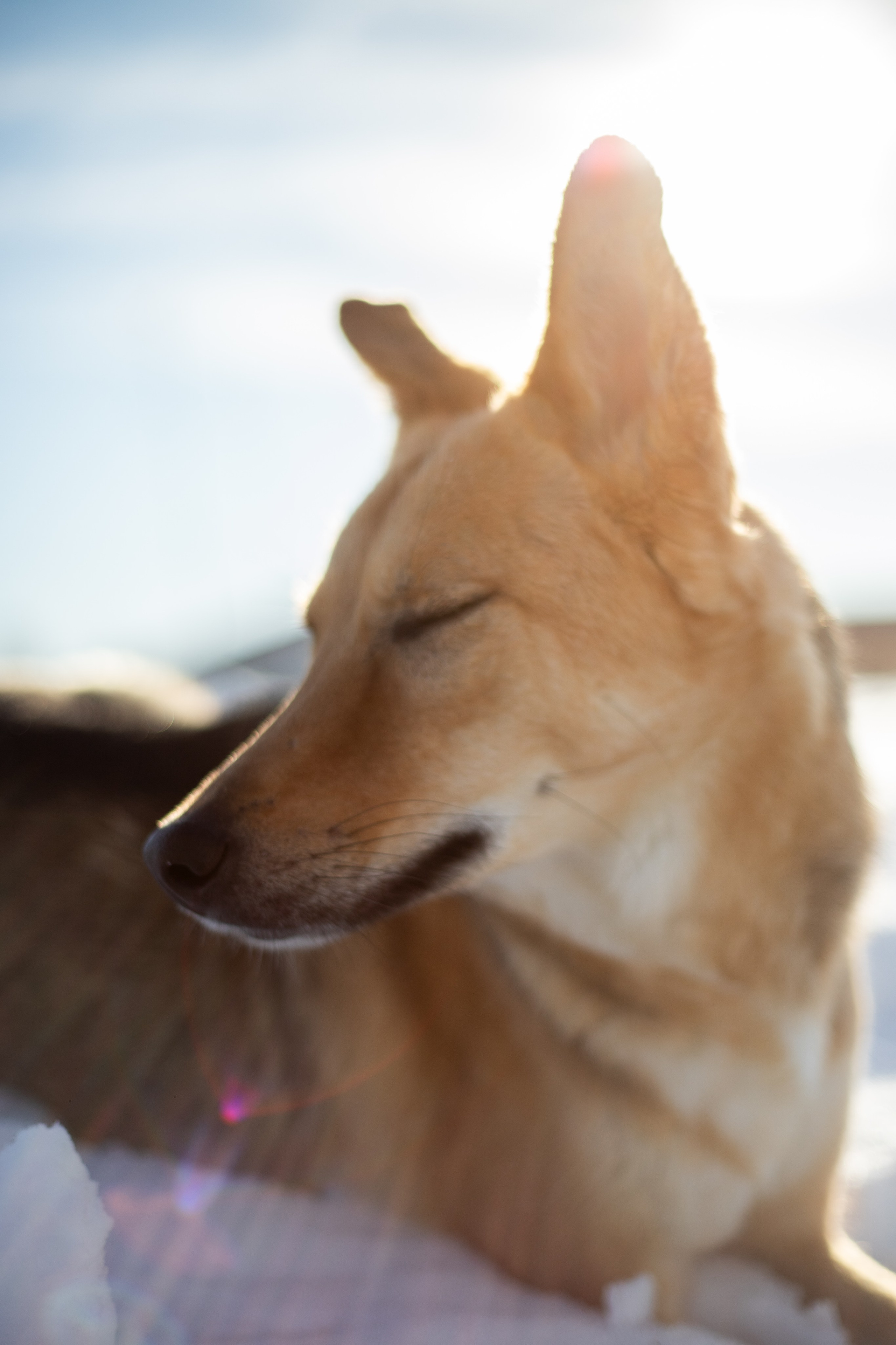 Семья. Фотограф в Перми Любовь Огородова | Авторские туры