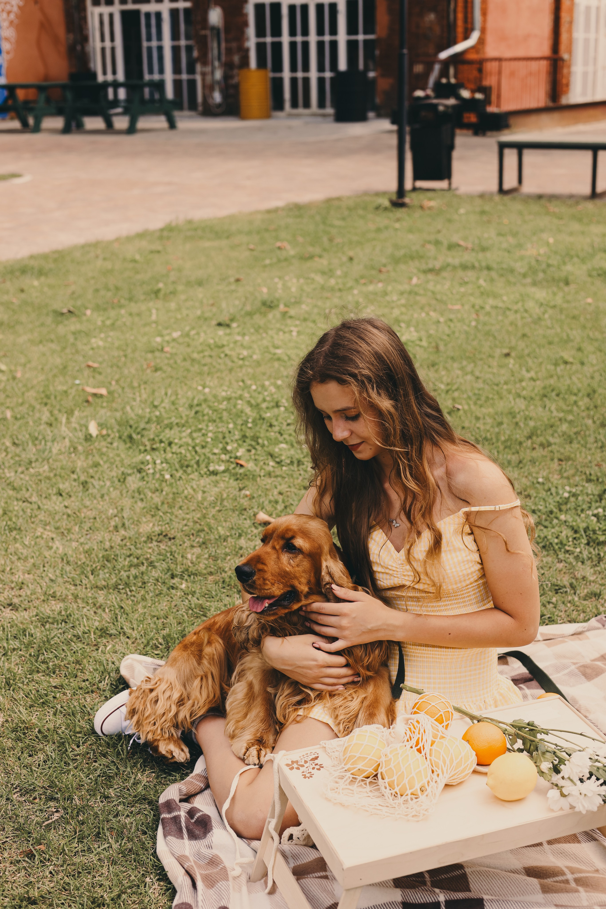 Фотопроект «Пикник со спаниелем». Фотограф Мария Лаенко