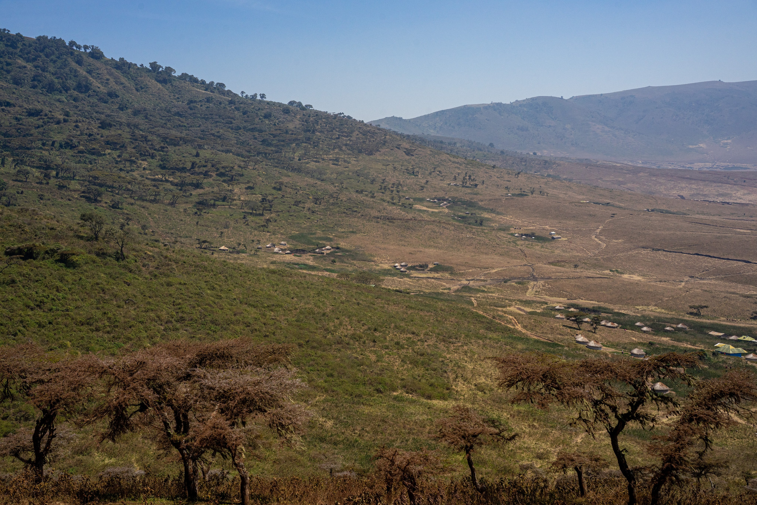 Танзания, сафари, 2025. Творческие сьемки