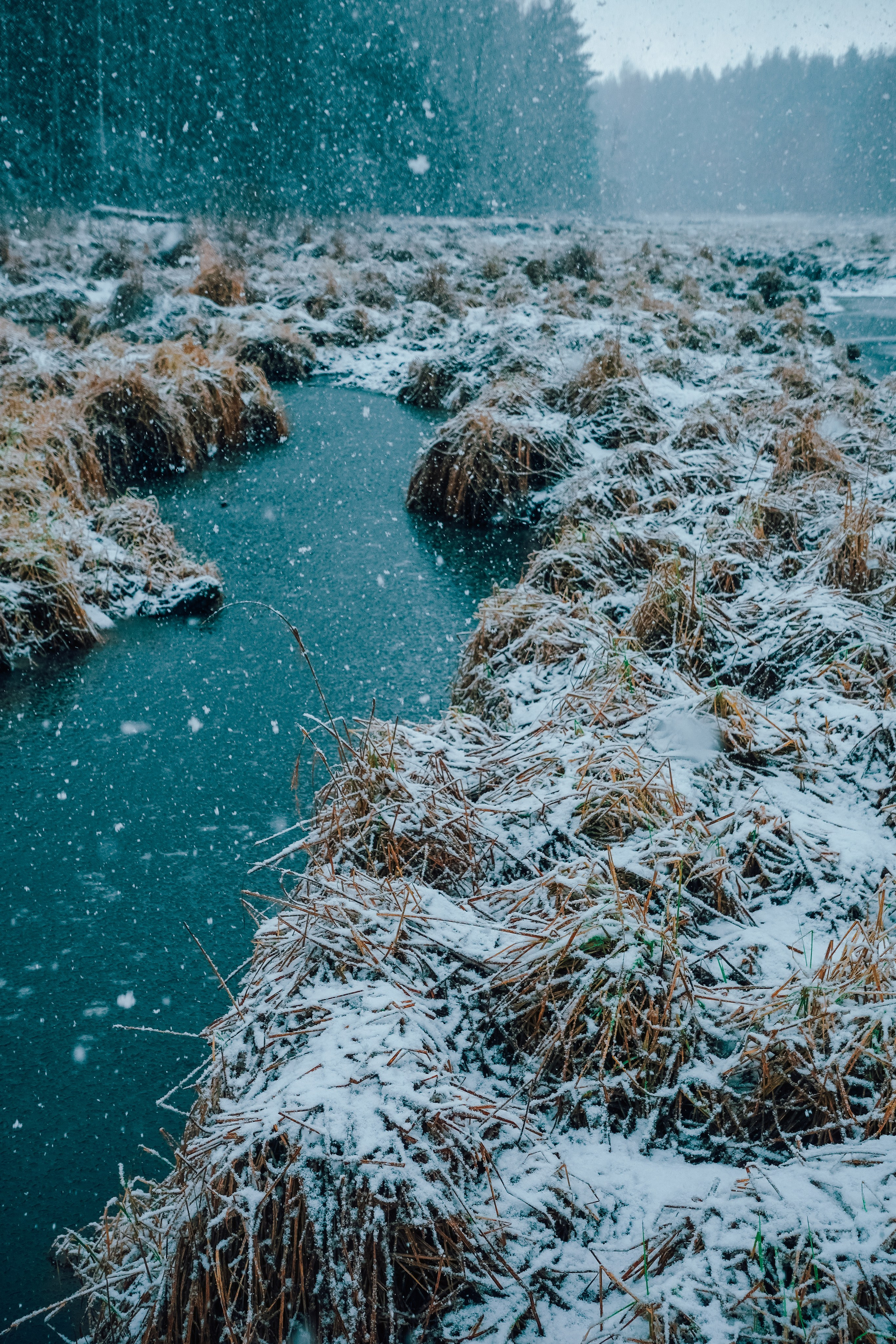 Товары. Фотограф Алиса Аспер