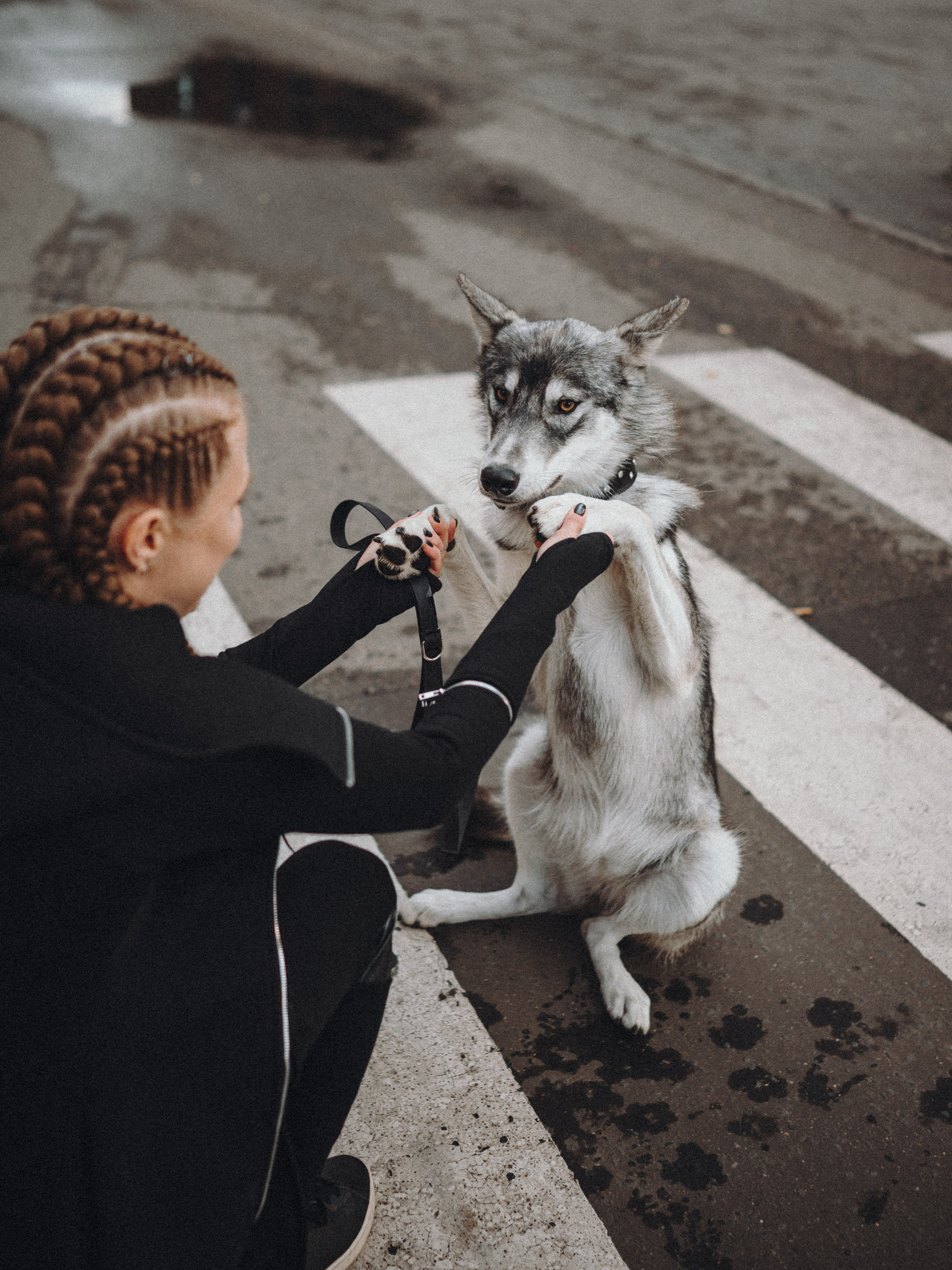Вика и Кора. Семейный фотограф анималист Ананьева Мария — Москва