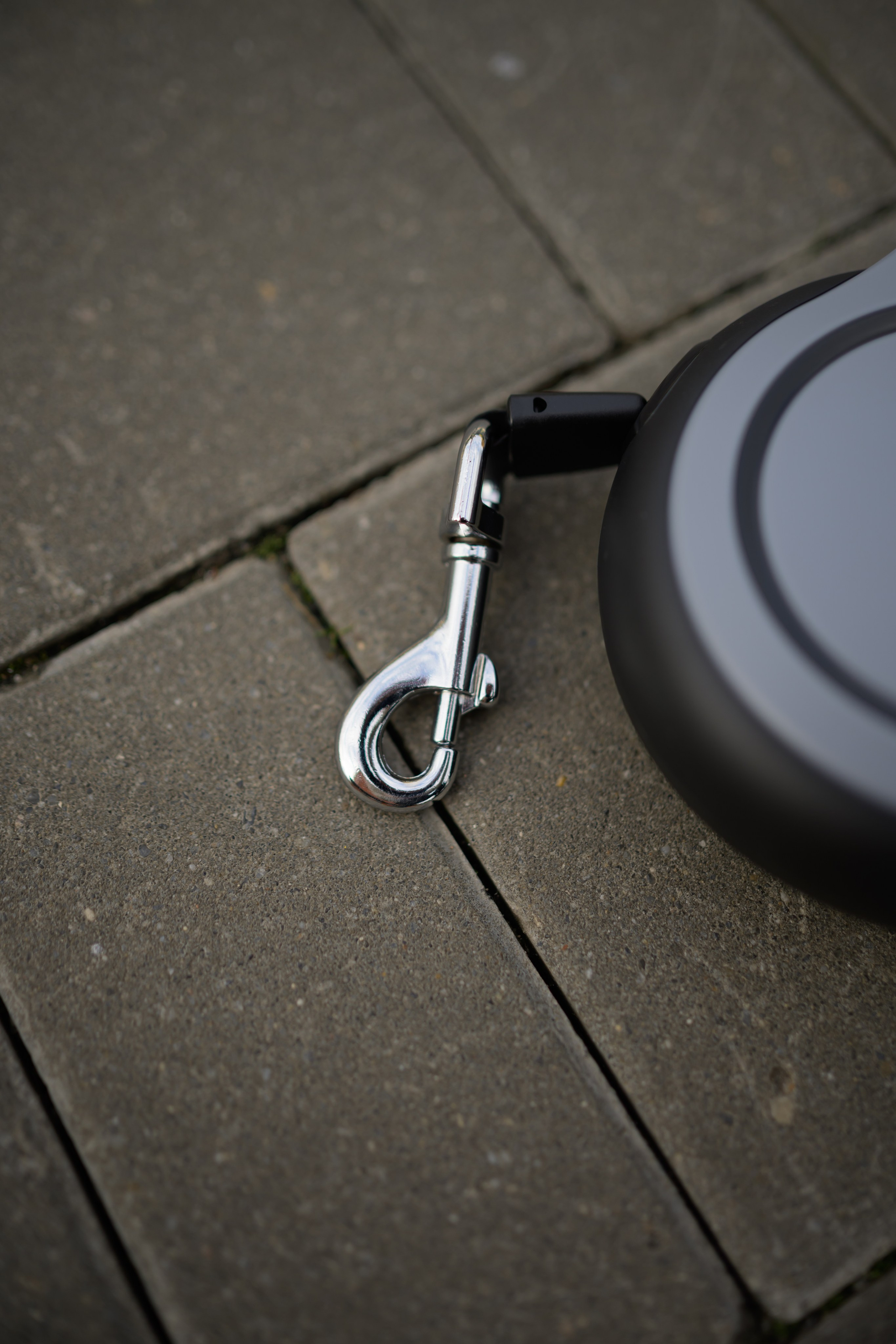 Pawsitive. Семейный фотограф анималист Ананьева Мария — Москва