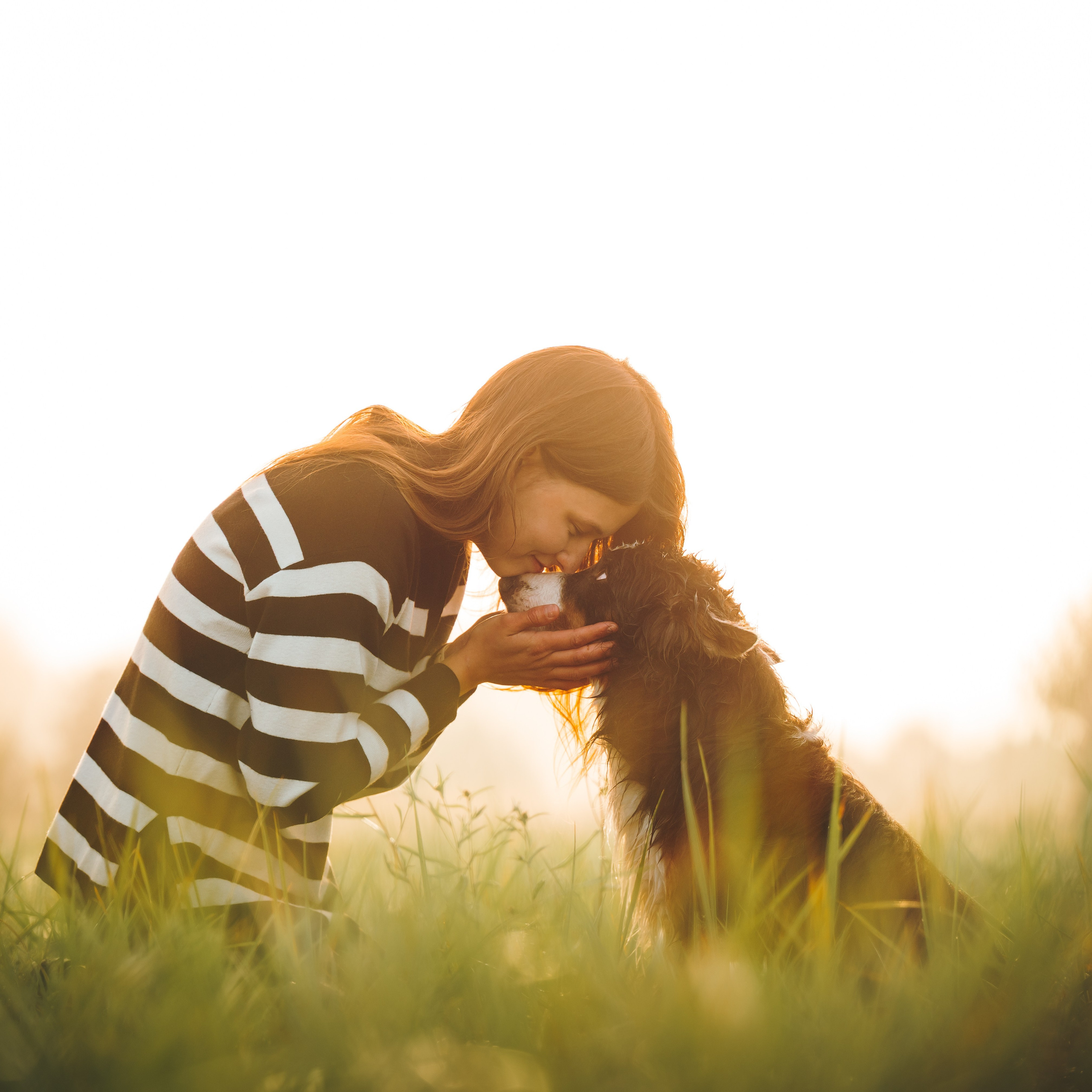 Саша, Флик и Эсприт. Семейный фотограф анималист Ананьева Мария — Москва
