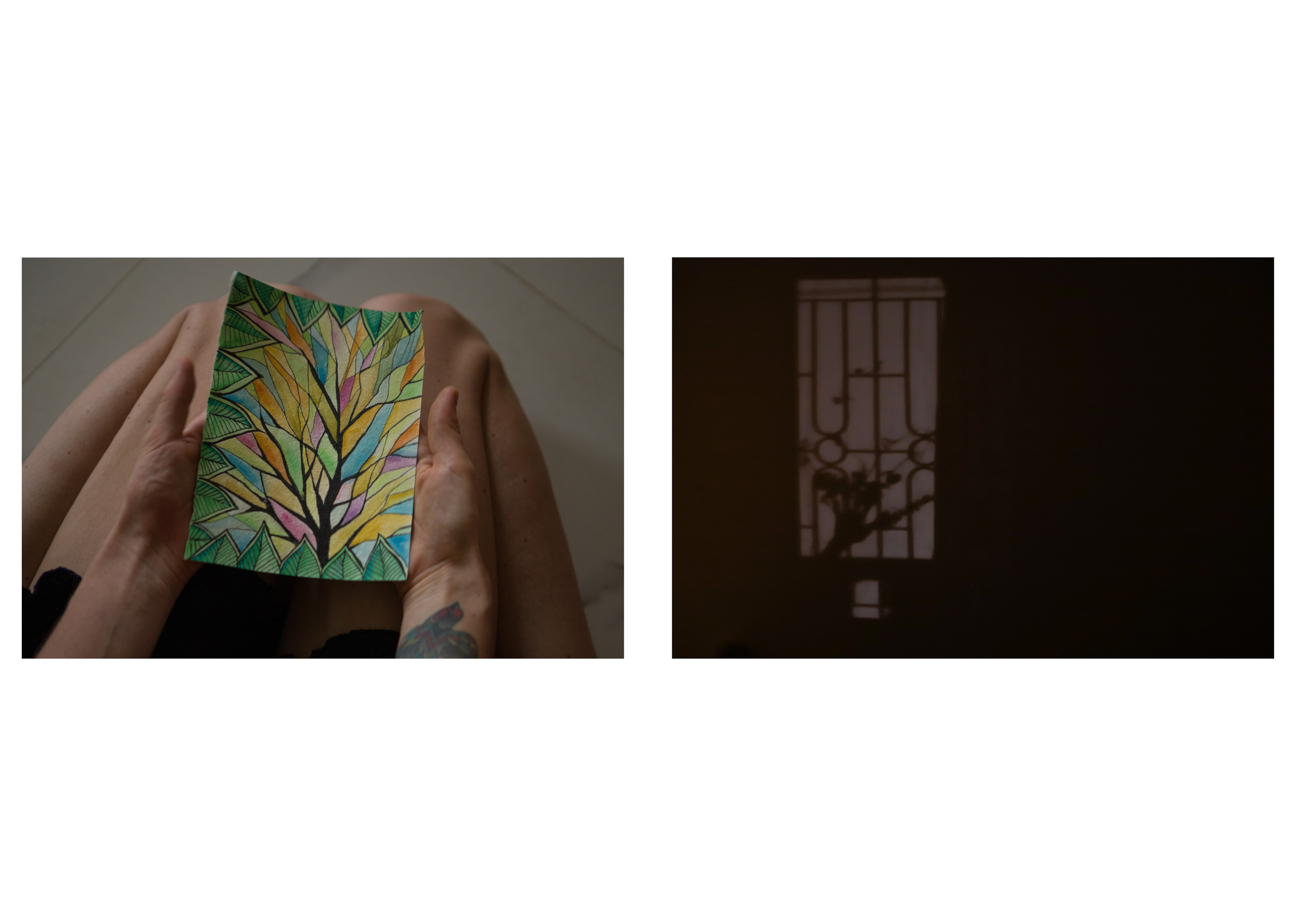 Nature me. Сайт Фотографа MASHASOLAR